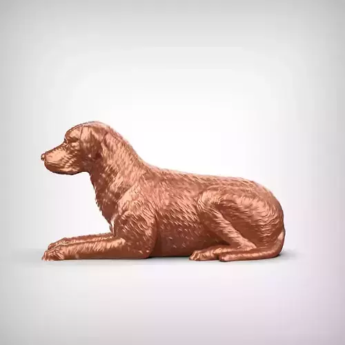 Chesapeake Bay Retriever Dog 3D Print Model Pose 07 3D print model