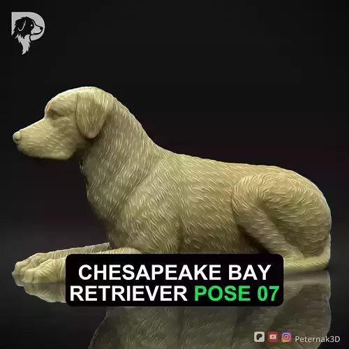 Dog 3D Print Model Chesapeake Bay Retriever Dog Pose 07 STL 3D print model