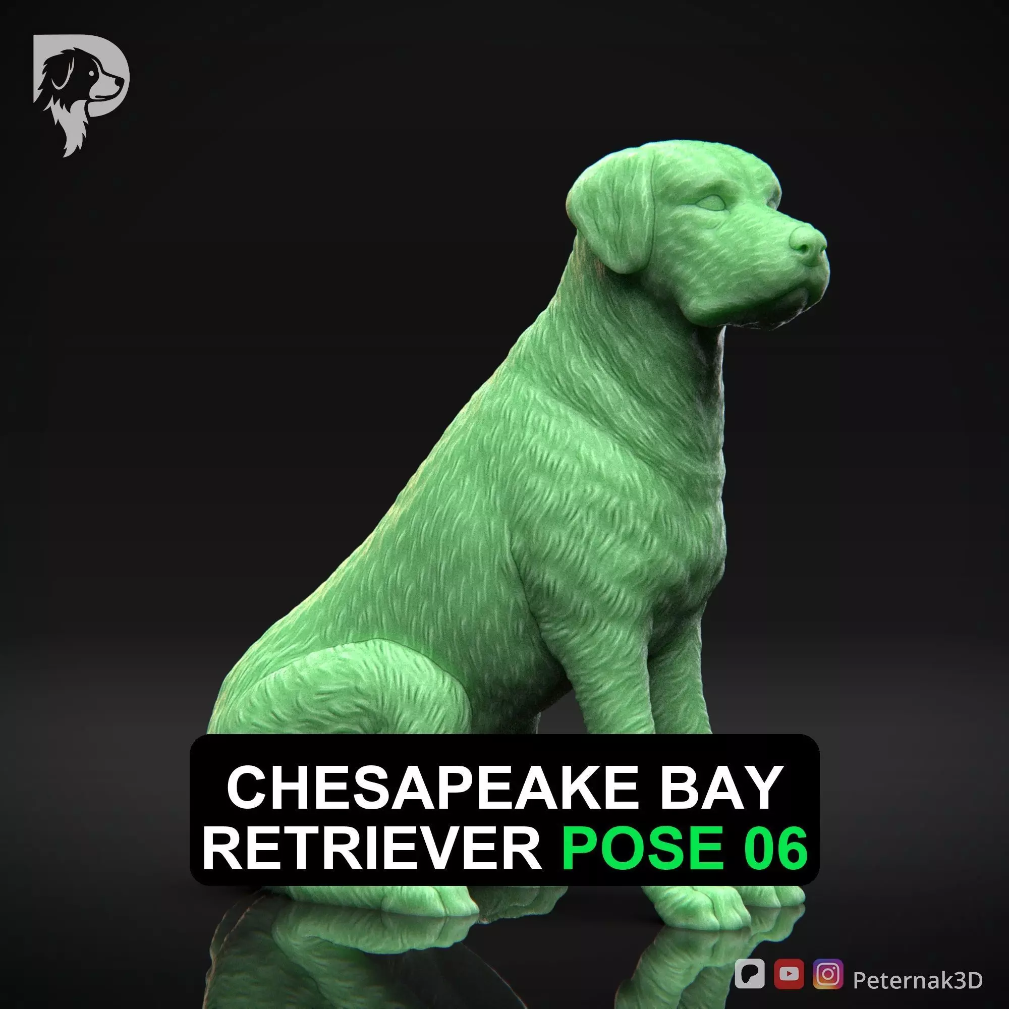 Dog 3D Print Model Chesapeake Bay Retriever Dog Pose 06 STL 3D print model
