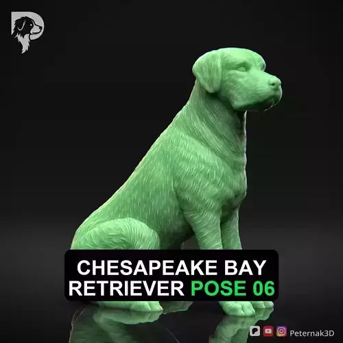 Dog 3D Print Model Chesapeake Bay Retriever Dog Pose 06 STL