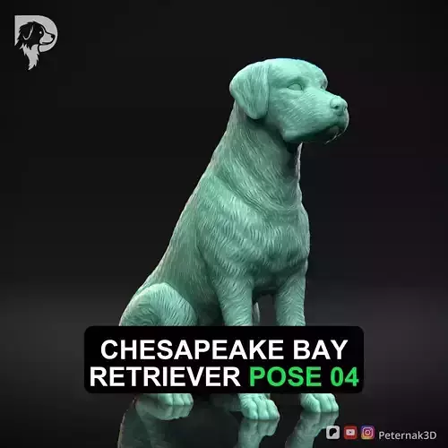 Dog 3D Print Model Chesapeake Bay Retriever Dog Pose 04 STL
