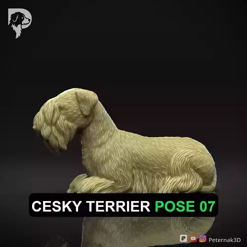 Dog 3D Print Model Cesky Terrier Dog Pose 07 Ready STL 3D print model