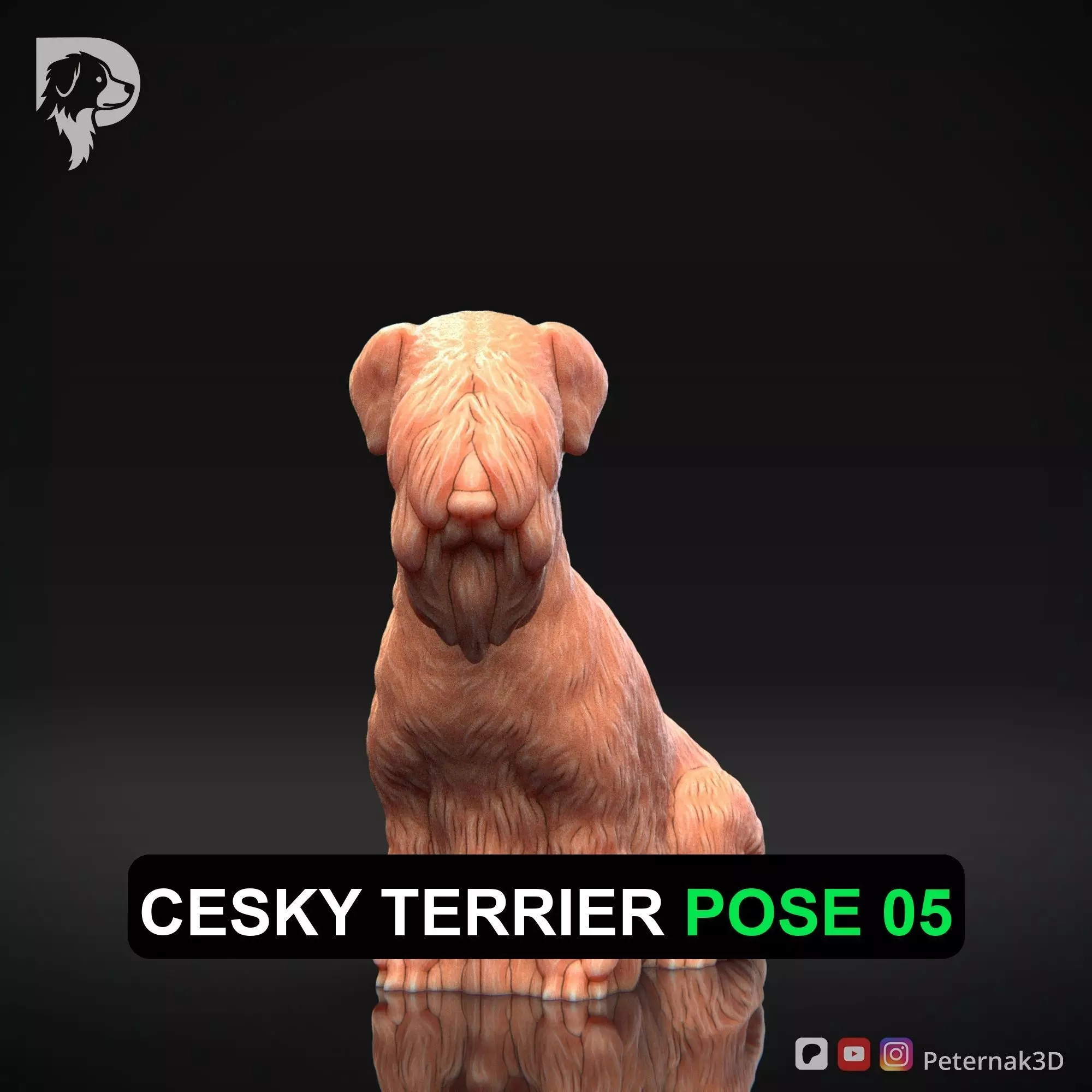 Dog 3D Print Model Cesky Terrier Dog Pose 05 Ready STL 3D print model