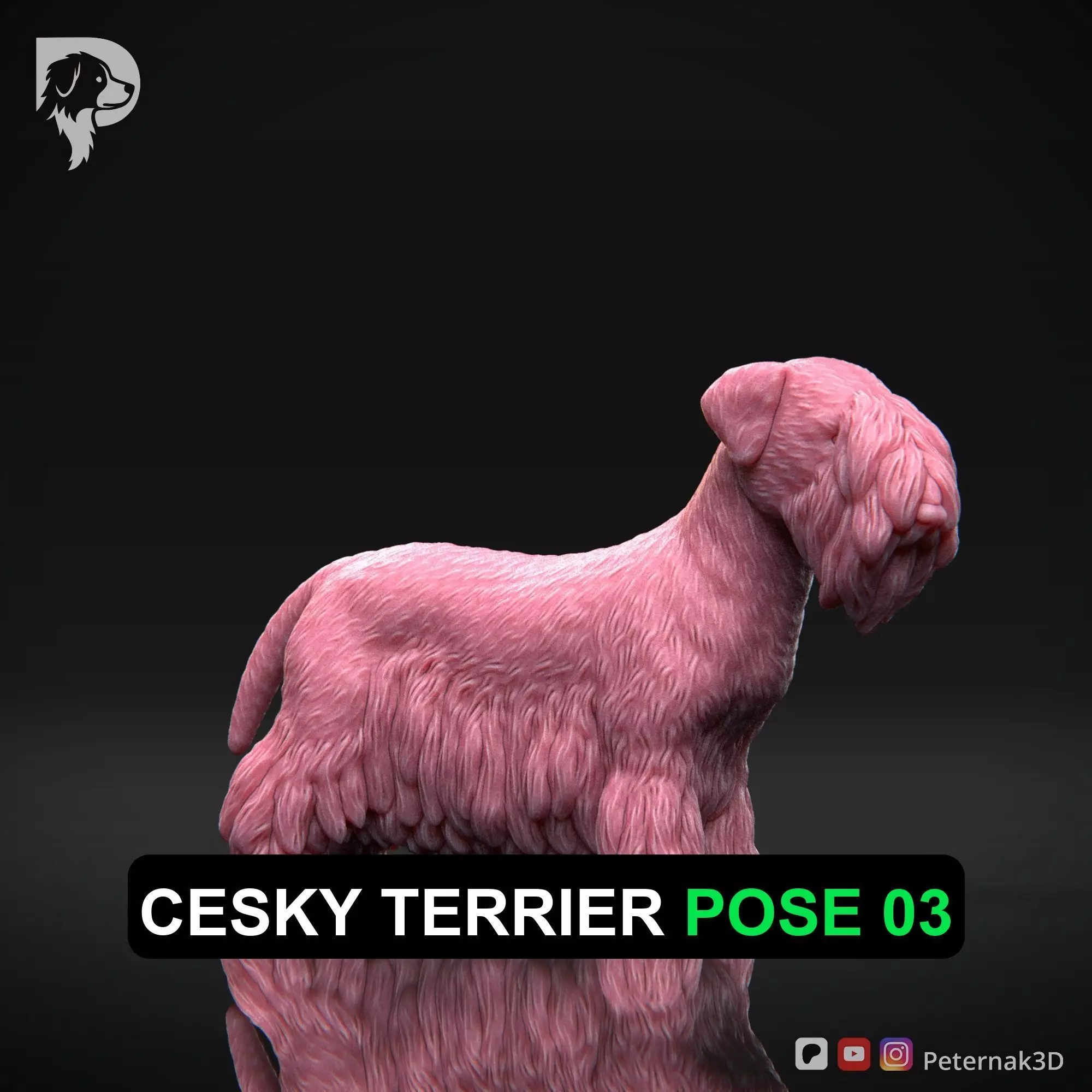 Dog 3D Print Model Cesky Terrier Dog Pose 03 Ready STL 3D print model