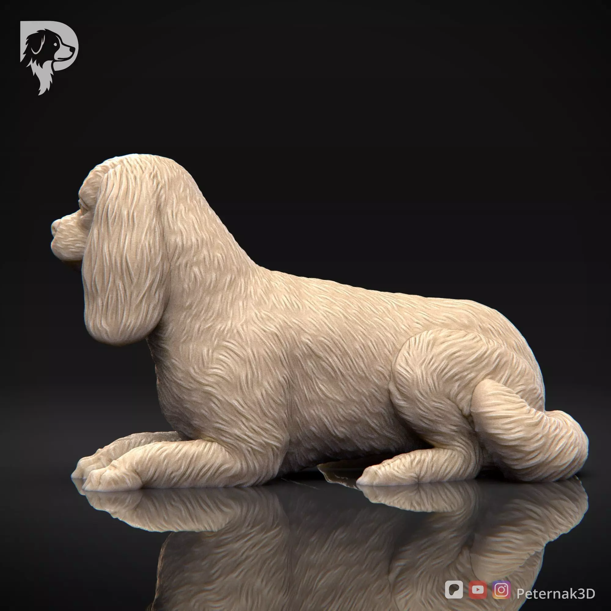 Dog 3D Print Model Cavalier King Charles Spaniel Pose 09 STL 3D print model_9