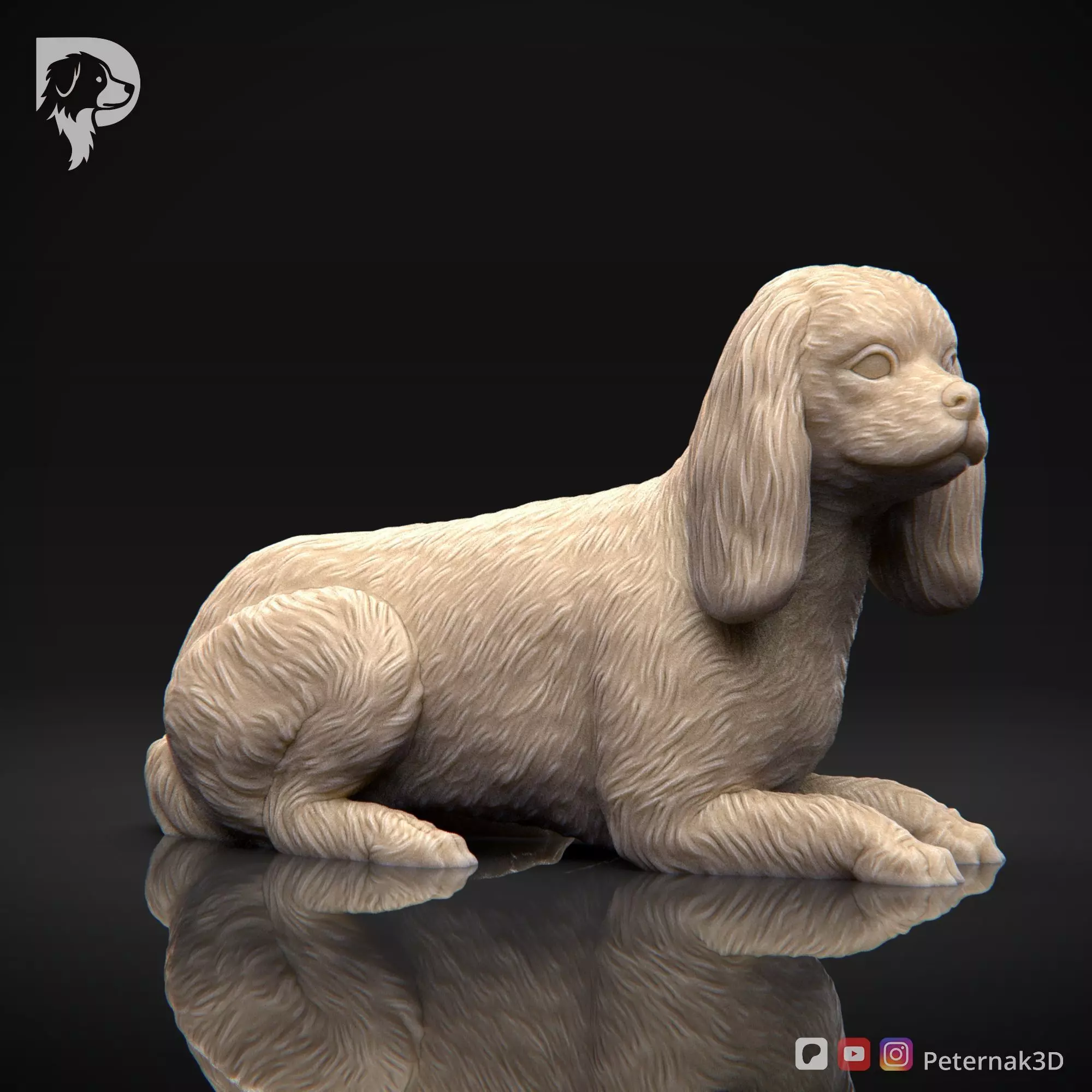 Dog 3D Print Model Cavalier King Charles Spaniel Pose 09 STL 3D print model_3