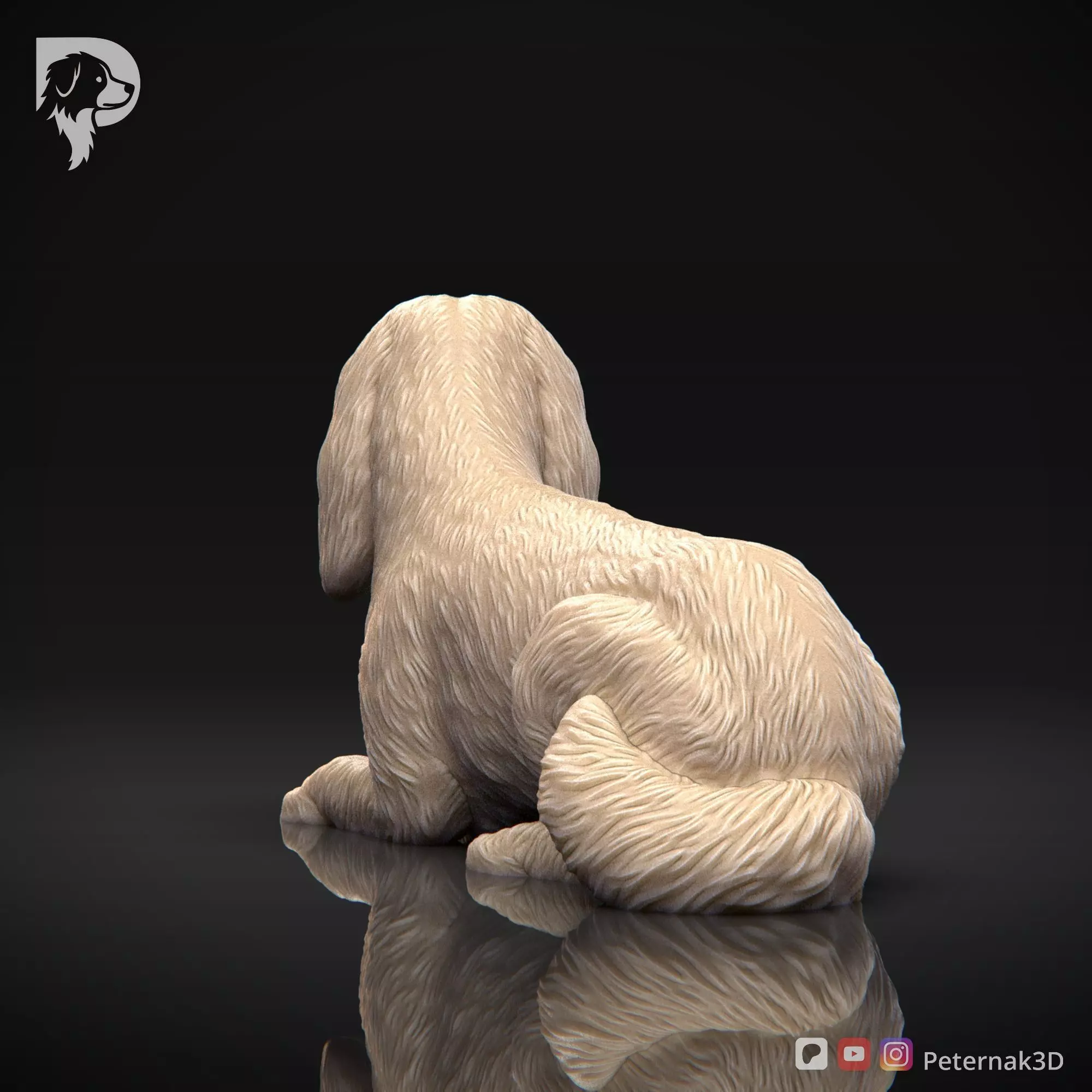 Dog 3D Print Model Cavalier King Charles Spaniel Pose 09 STL 3D print model_7