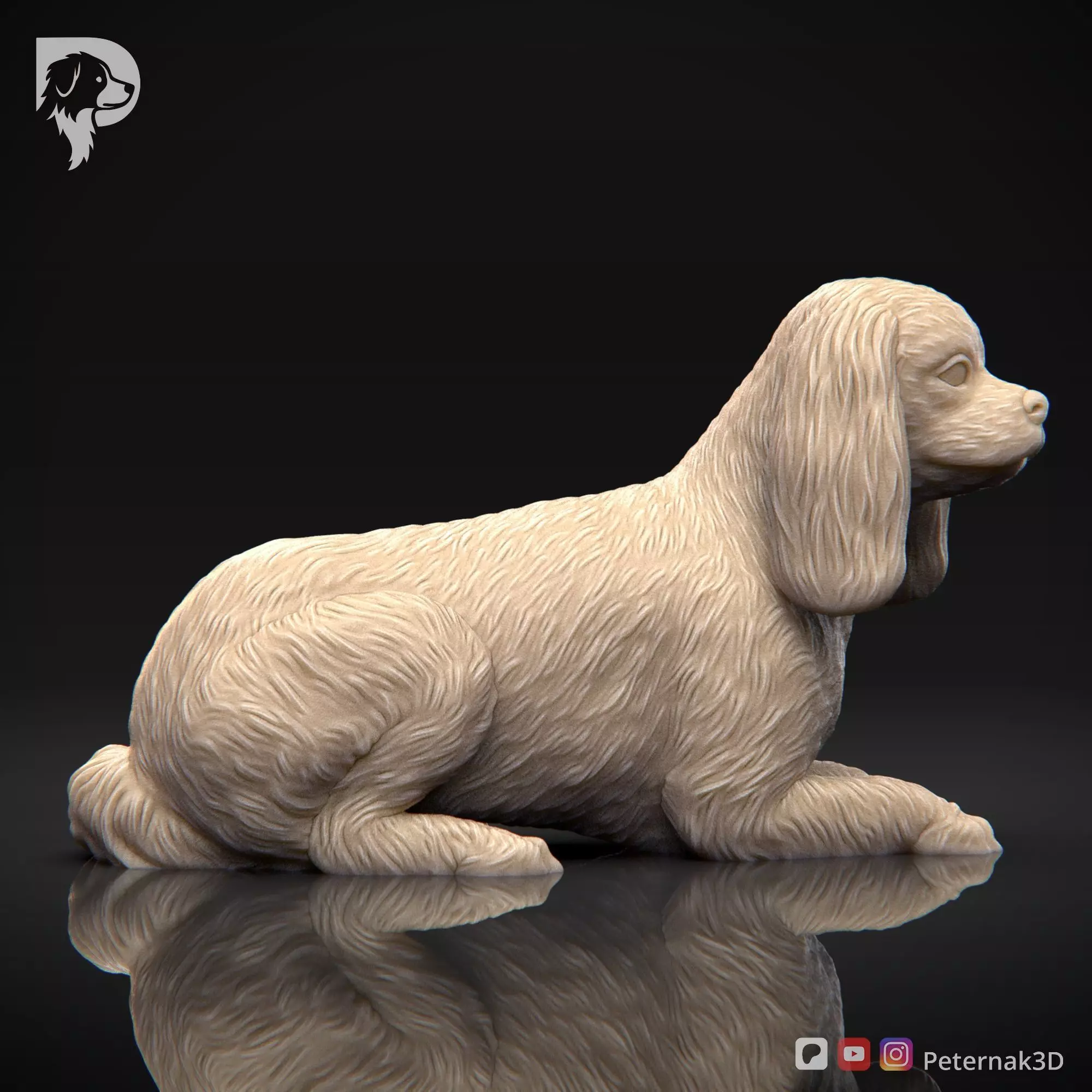 Dog 3D Print Model Cavalier King Charles Spaniel Pose 09 STL 3D print model_4