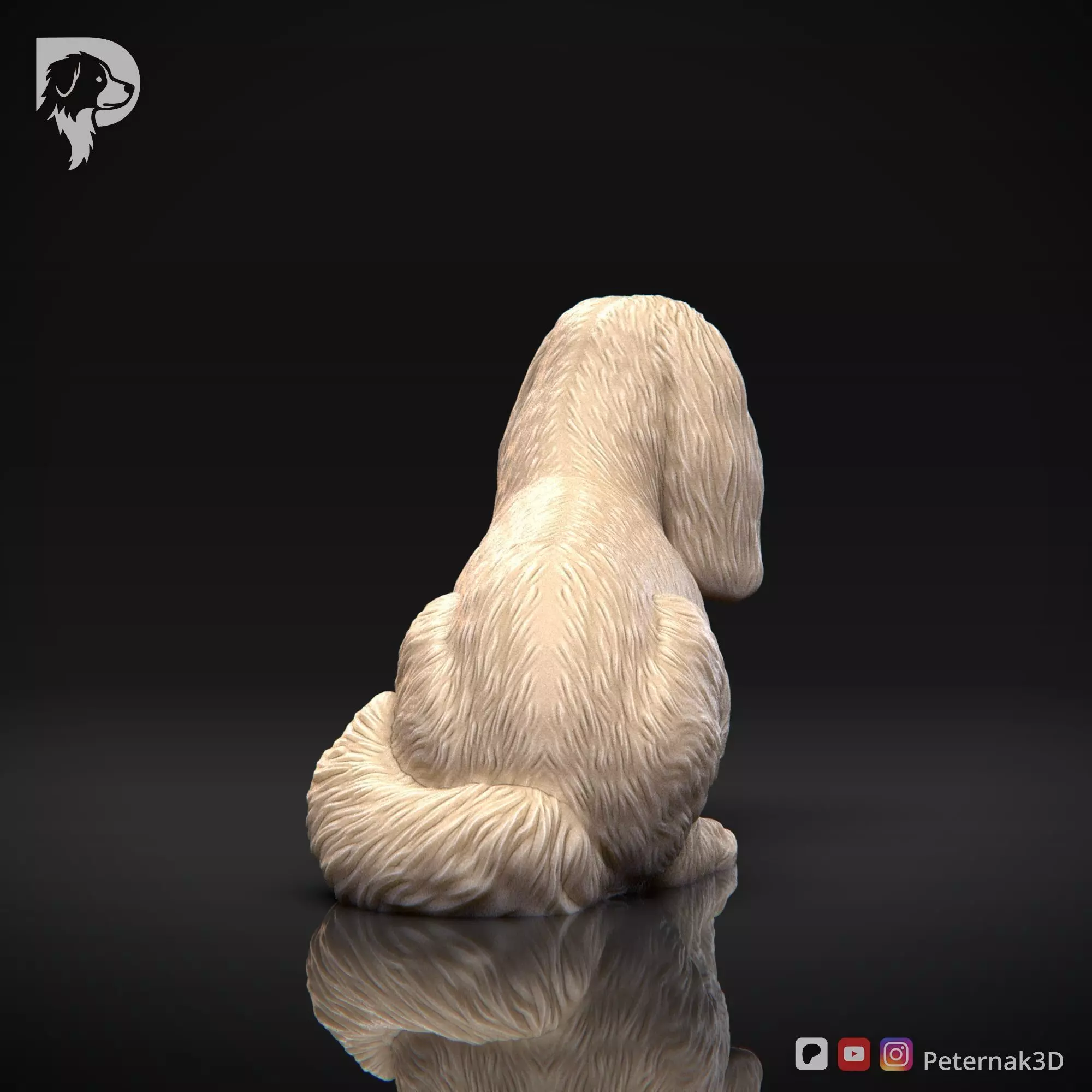Dog 3D Print Model Cavalier King Charles Spaniel Pose 09 STL 3D print model_6