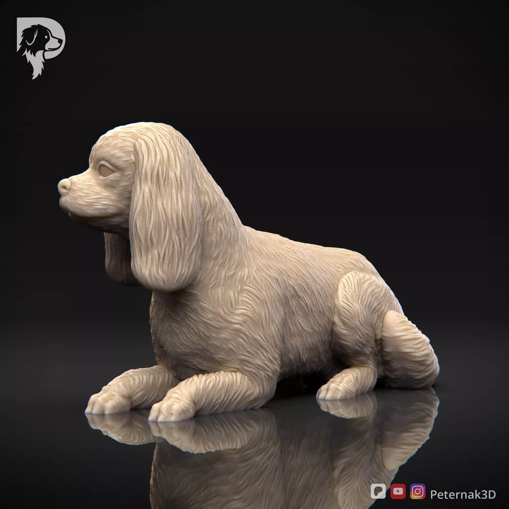 Dog 3D Print Model Cavalier King Charles Spaniel Pose 09 STL 3D print model_10
