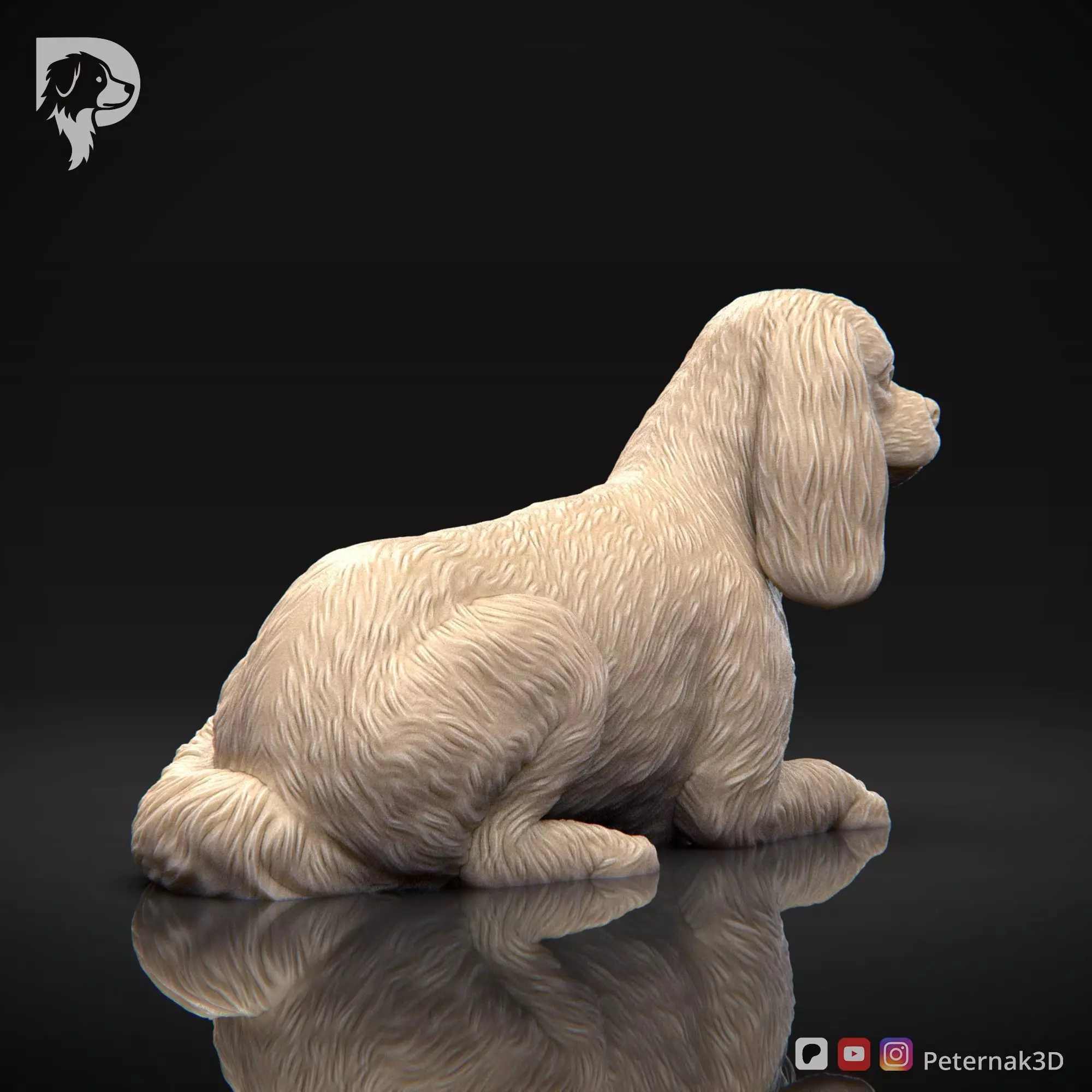 Dog 3D Print Model Cavalier King Charles Spaniel Pose 09 STL 3D print model_5