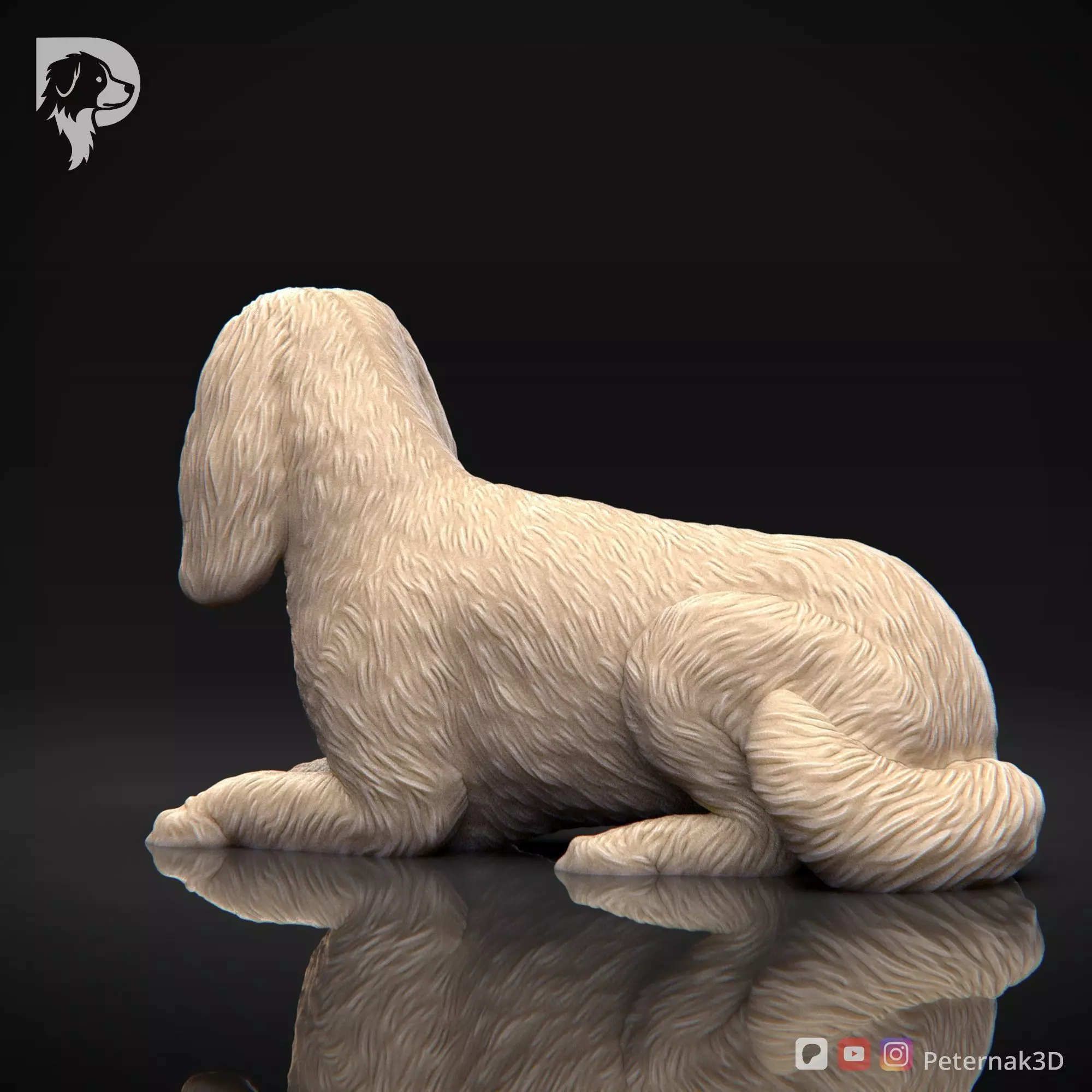Dog 3D Print Model Cavalier King Charles Spaniel Pose 09 STL 3D print model_8