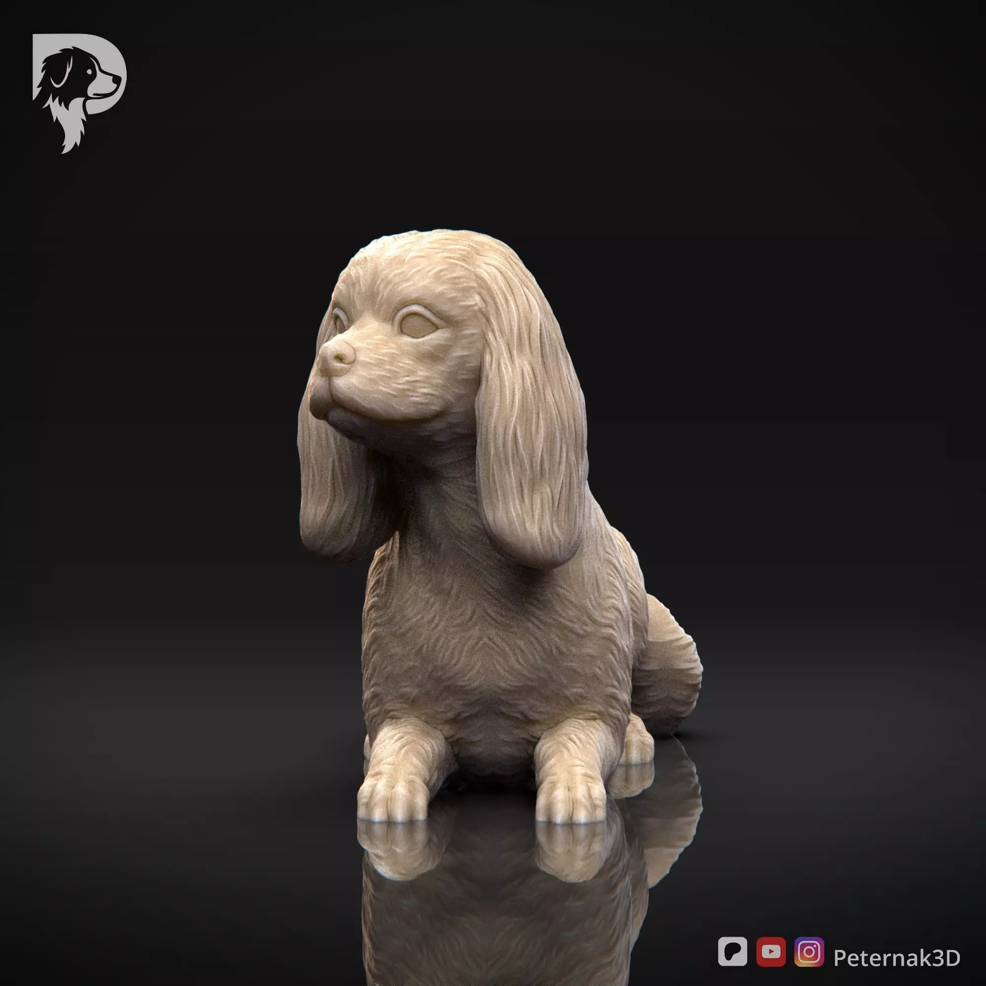 Dog 3D Print Model Cavalier King Charles Spaniel Pose 09 STL 3D print model_11