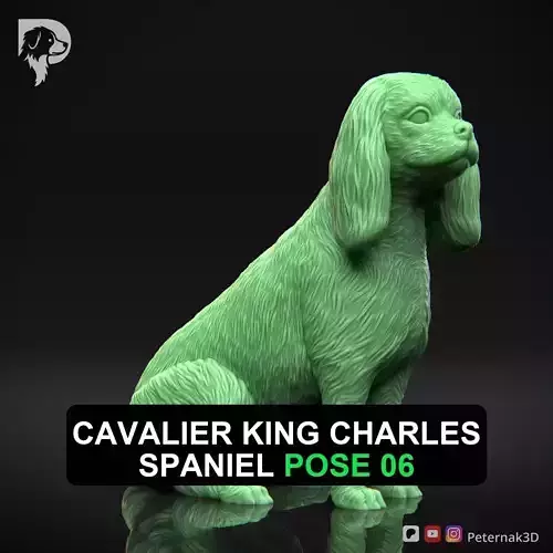 Dog 3D Print Model Cavalier King Charles Spaniel Pose 06 STL