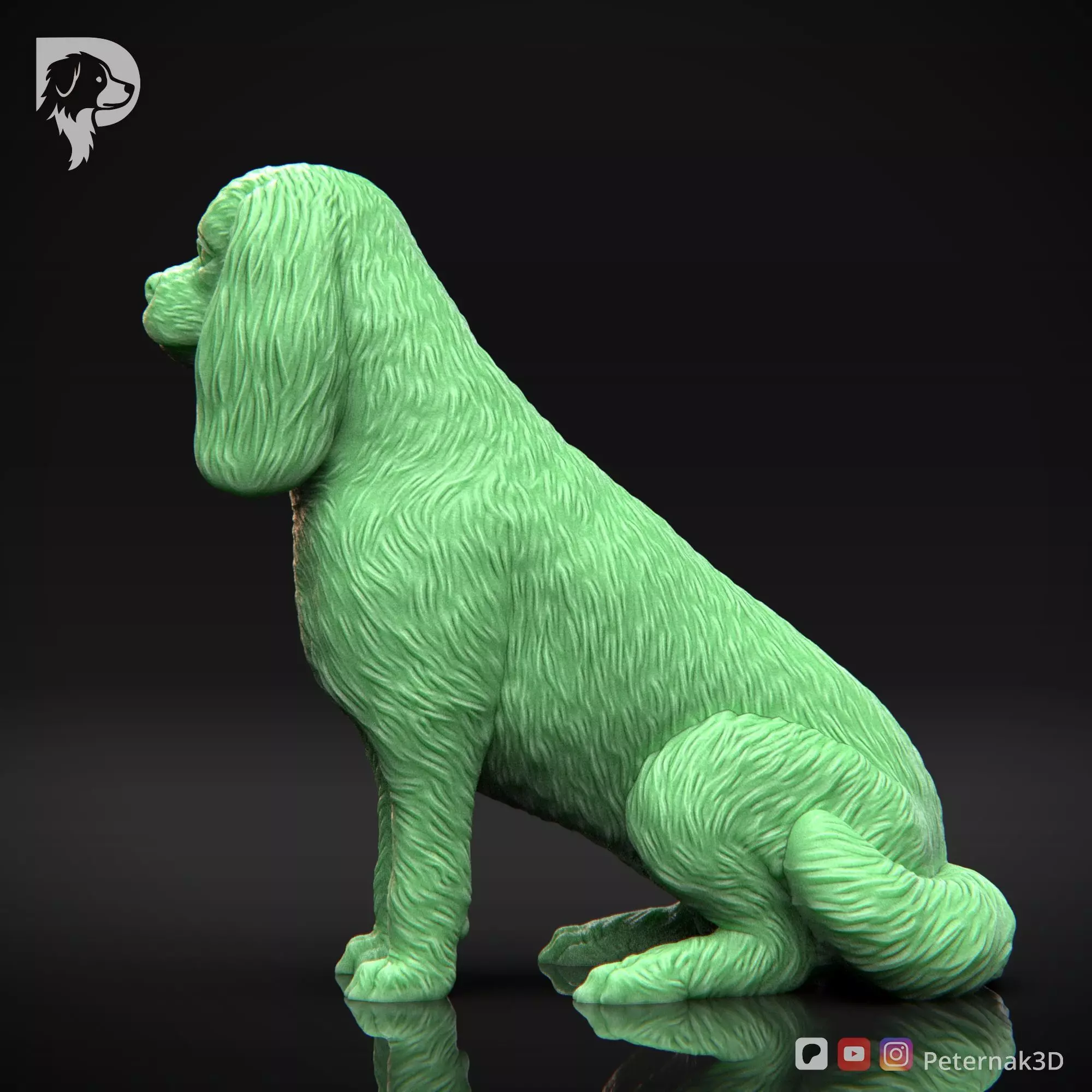 Dog 3D Print Model Cavalier King Charles Spaniel Pose 06 STL 3D print model_9