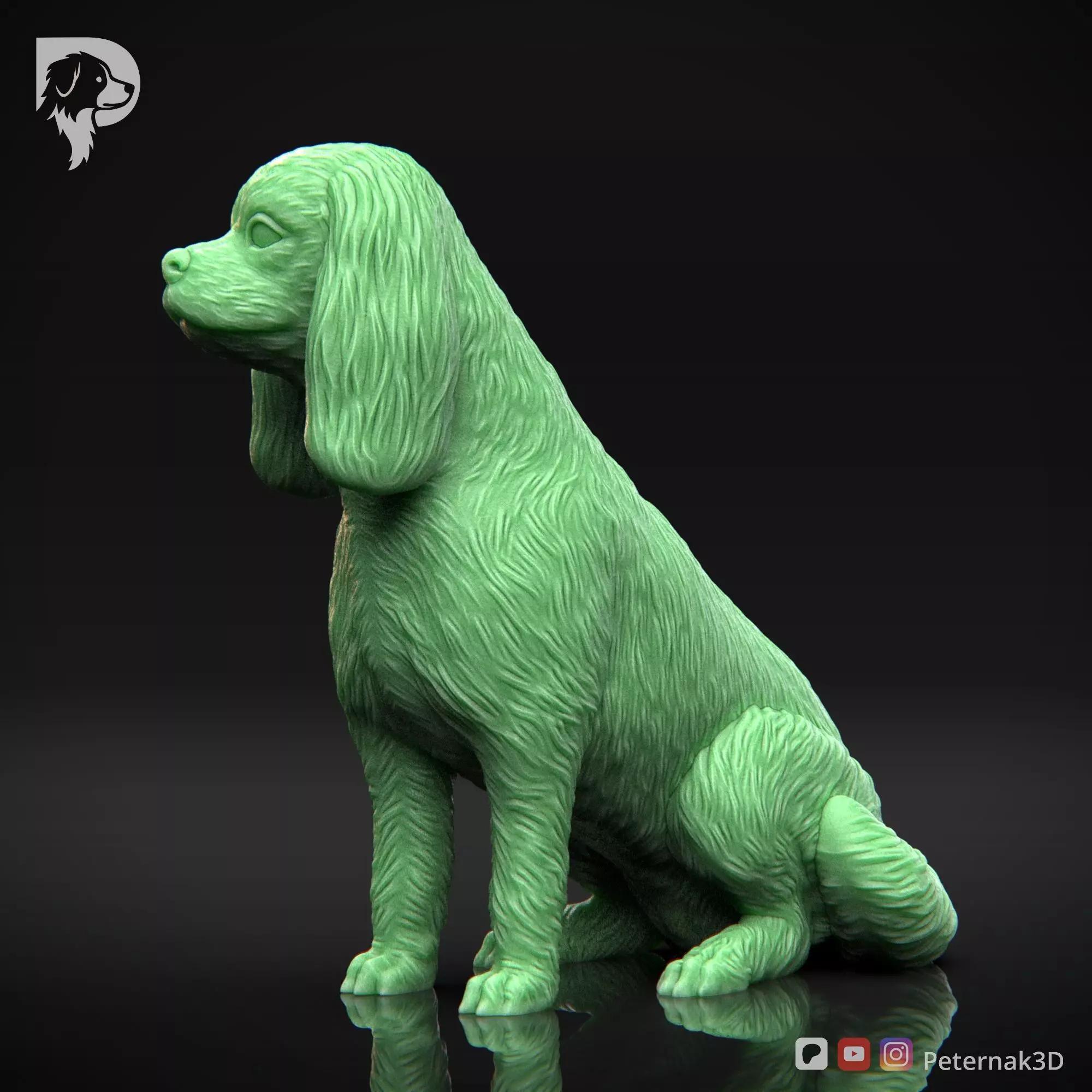 Dog 3D Print Model Cavalier King Charles Spaniel Pose 06 STL 3D print model_10