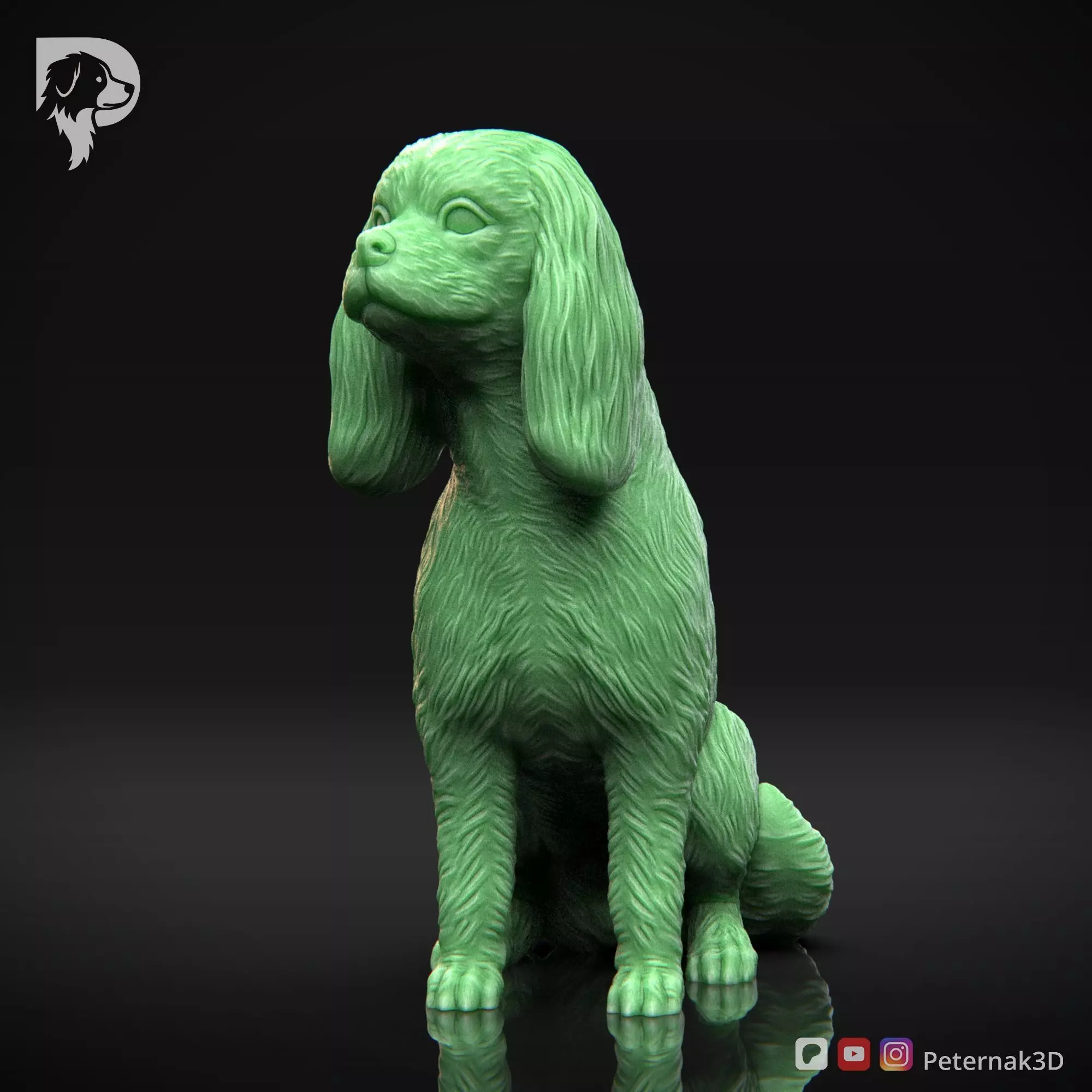 Dog 3D Print Model Cavalier King Charles Spaniel Pose 06 STL 3D print model_11