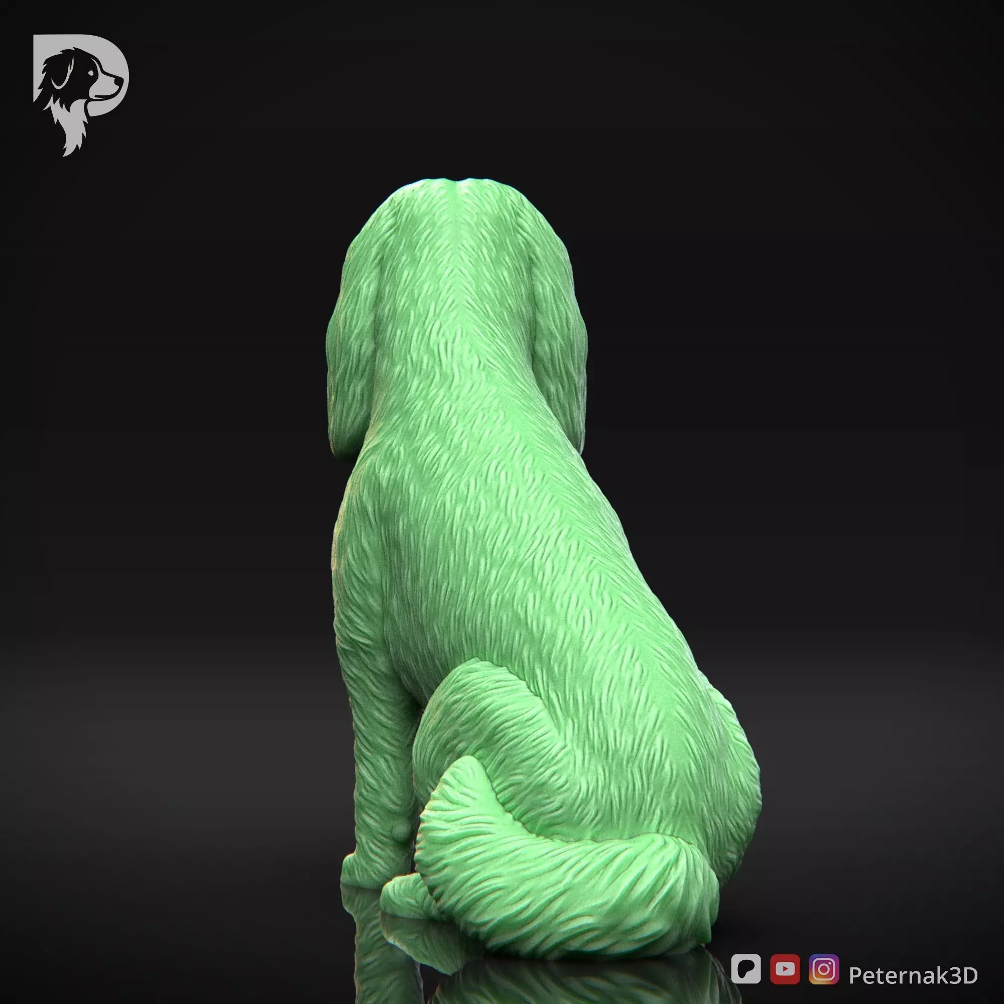 Dog 3D Print Model Cavalier King Charles Spaniel Pose 06 STL 3D print model_7