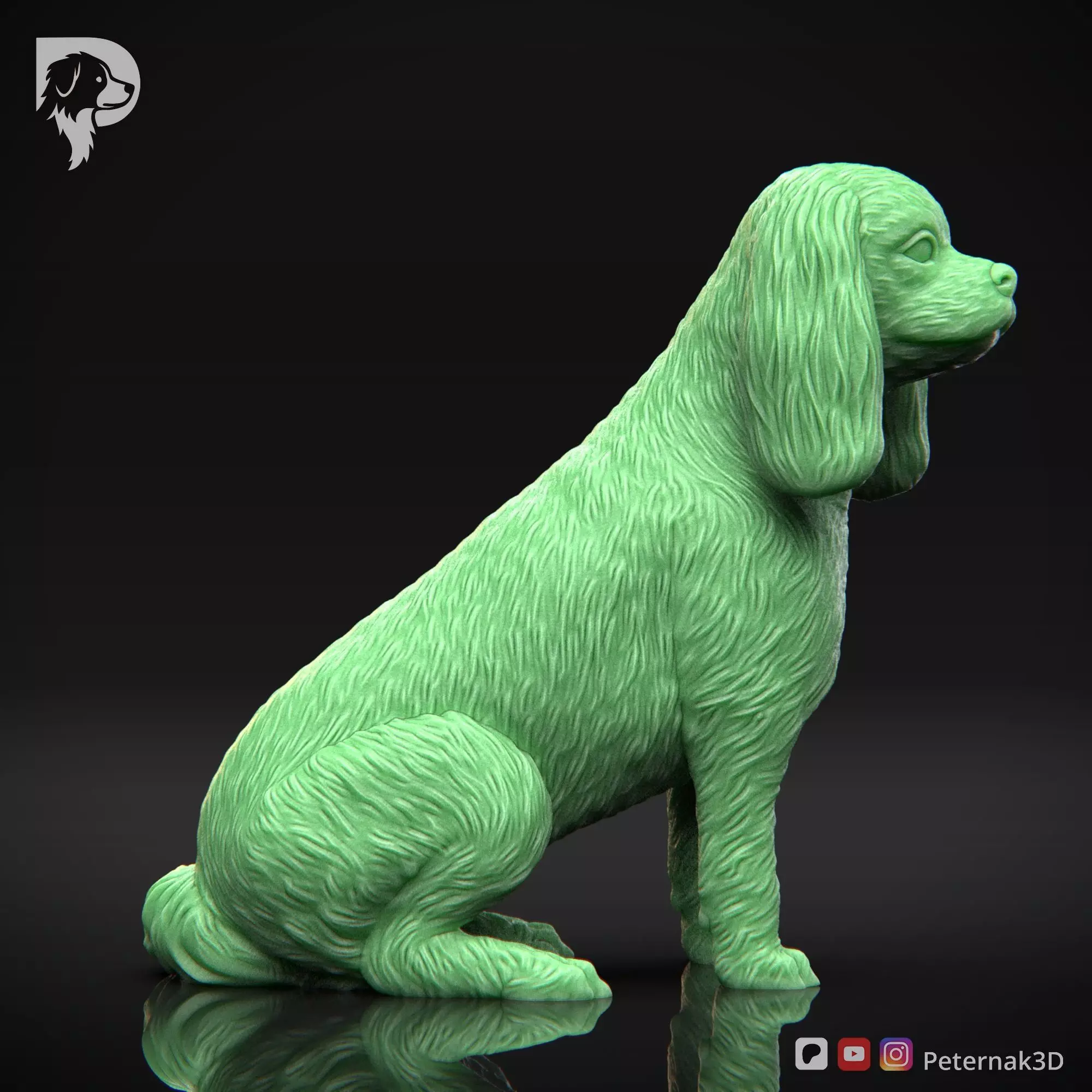 Dog 3D Print Model Cavalier King Charles Spaniel Pose 06 STL 3D print model_4