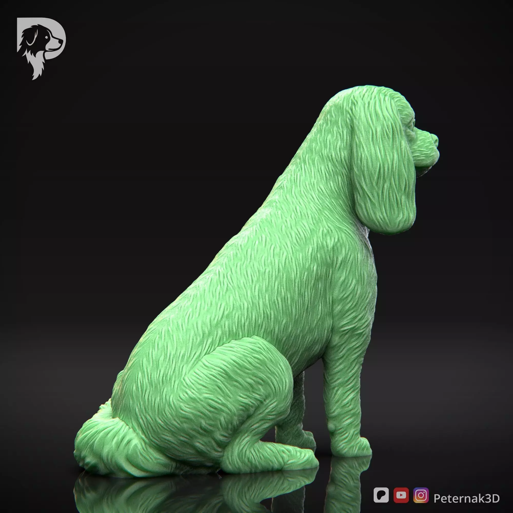 Dog 3D Print Model Cavalier King Charles Spaniel Pose 06 STL 3D print model_5