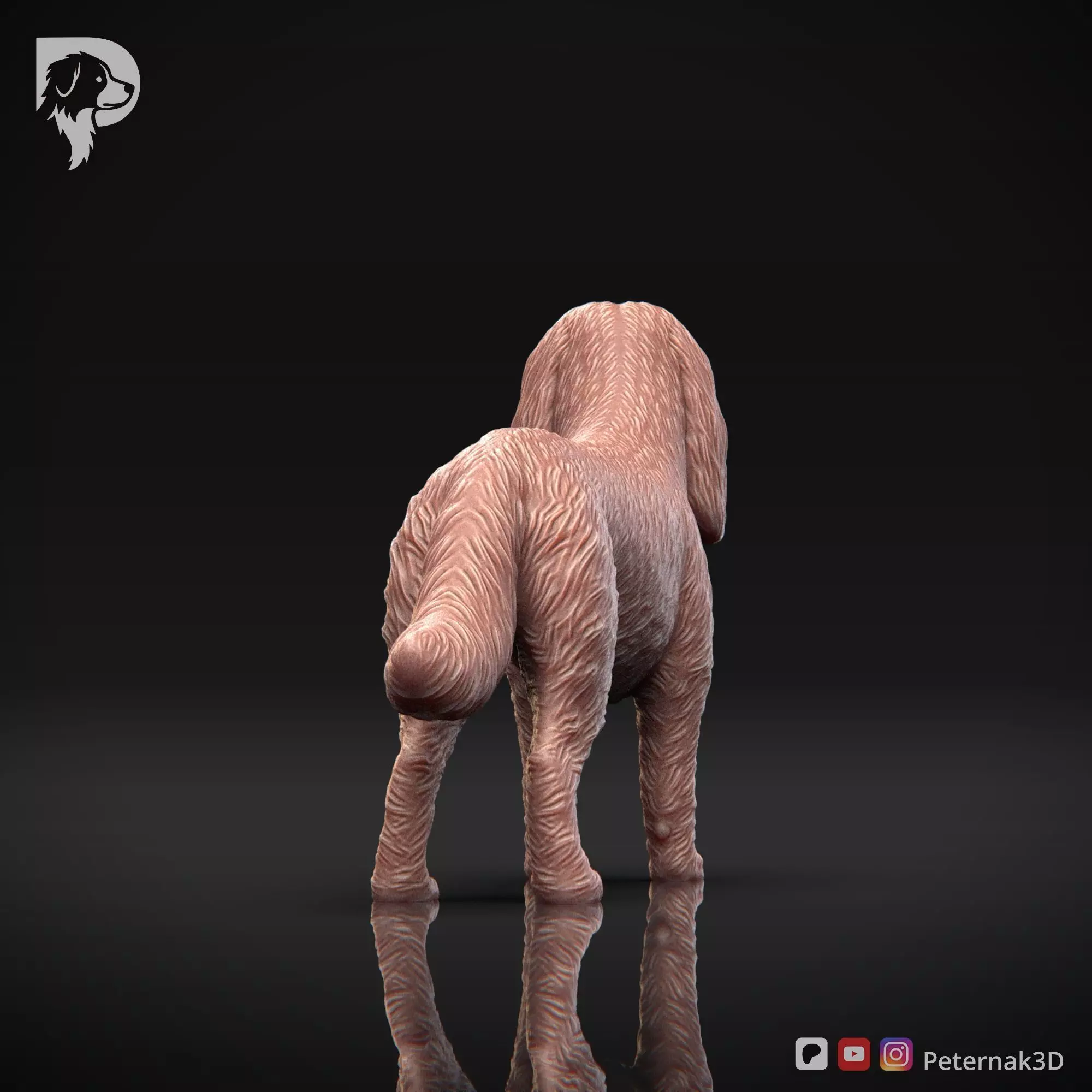 Dog 3D Print Model Cavalier King Charles Spaniel Pose 02 STL 3D print model_7