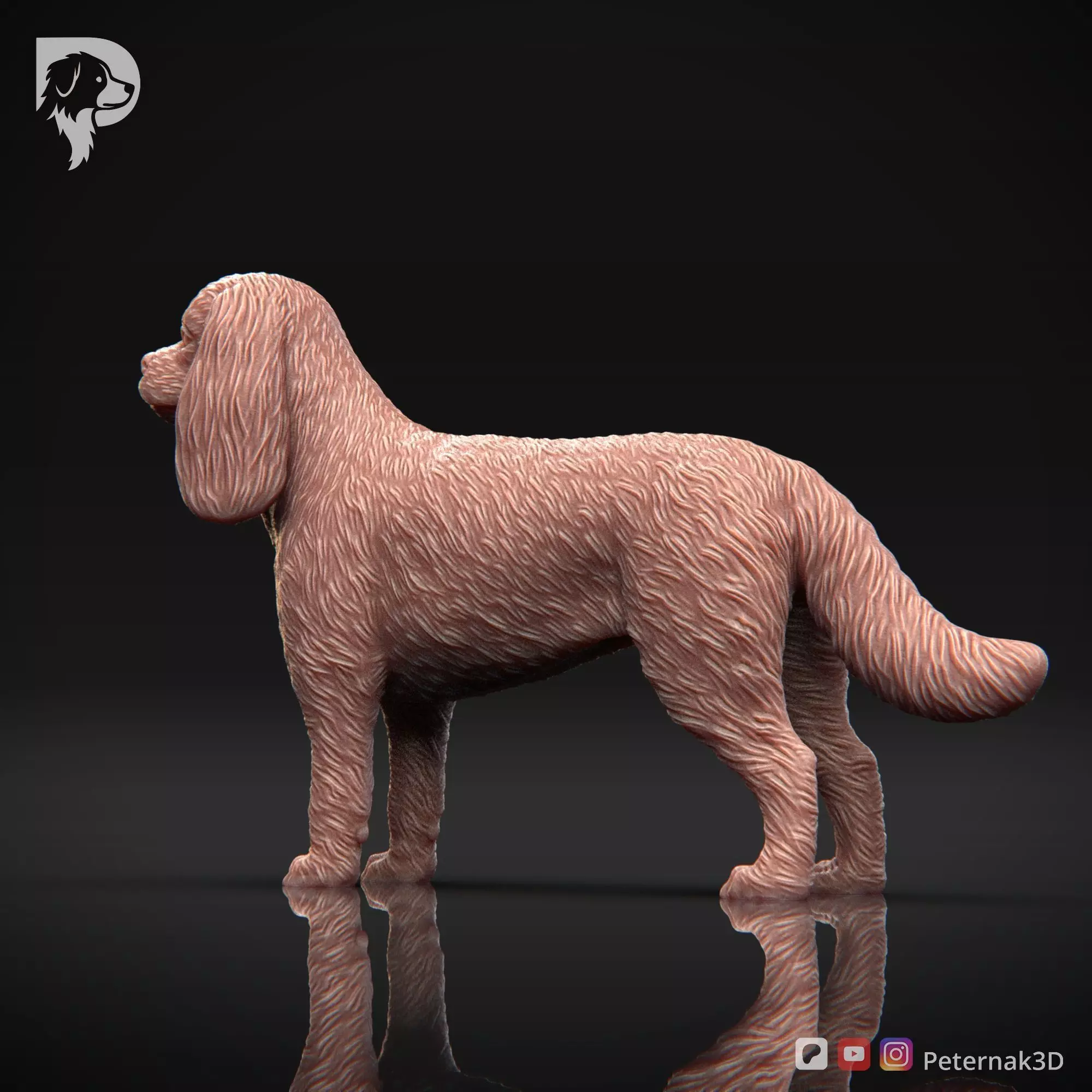 Dog 3D Print Model Cavalier King Charles Spaniel Pose 02 STL 3D print model_9
