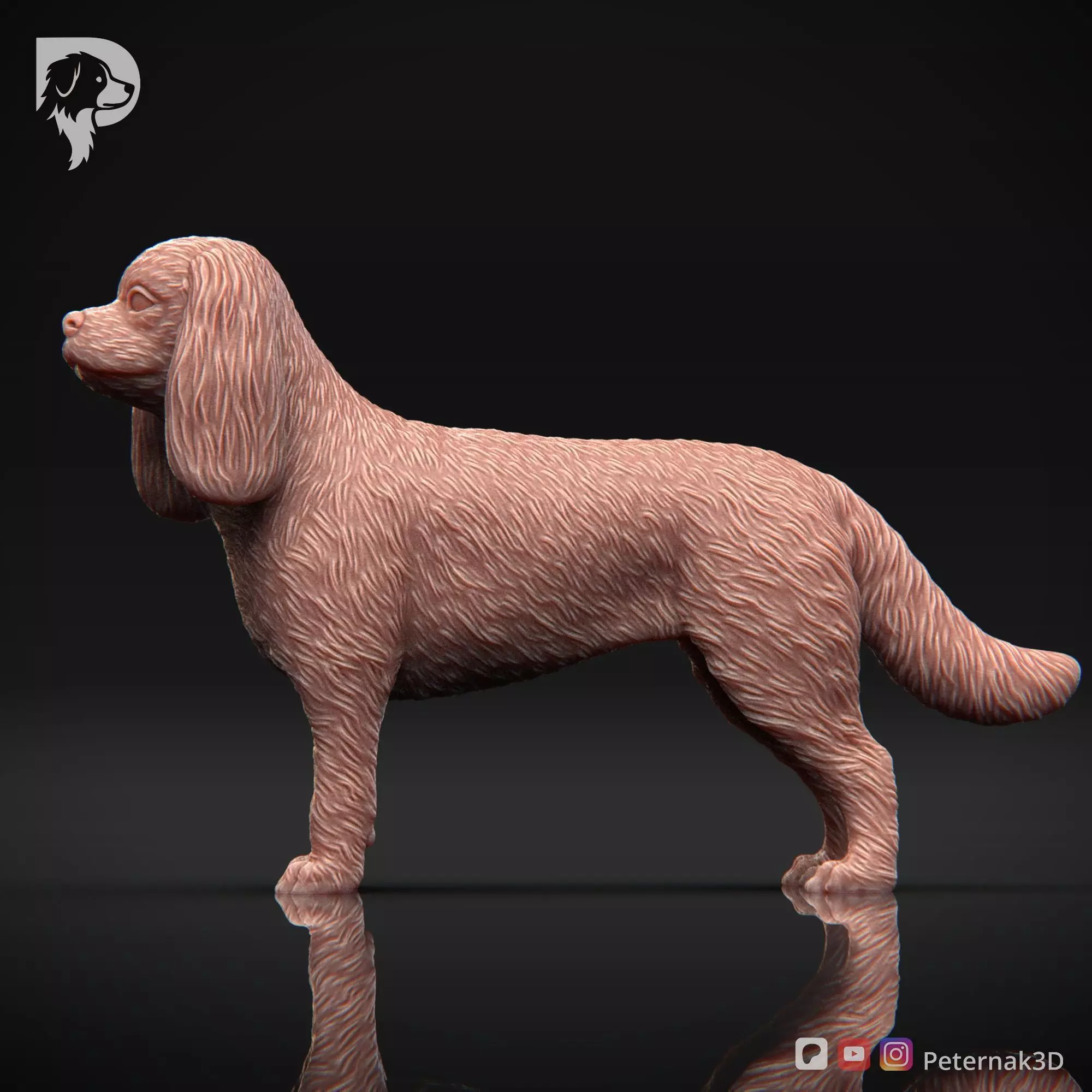 Dog 3D Print Model Cavalier King Charles Spaniel Pose 02 STL 3D print model_10