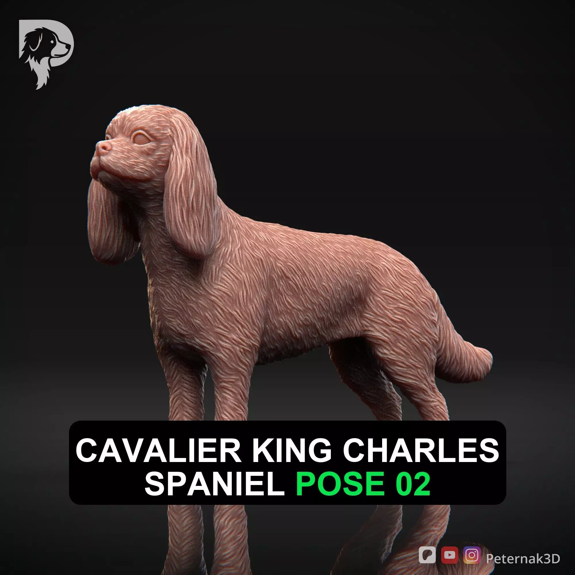 Dog 3D Print Model Cavalier King Charles Spaniel Pose 02 STL 3D print model_0