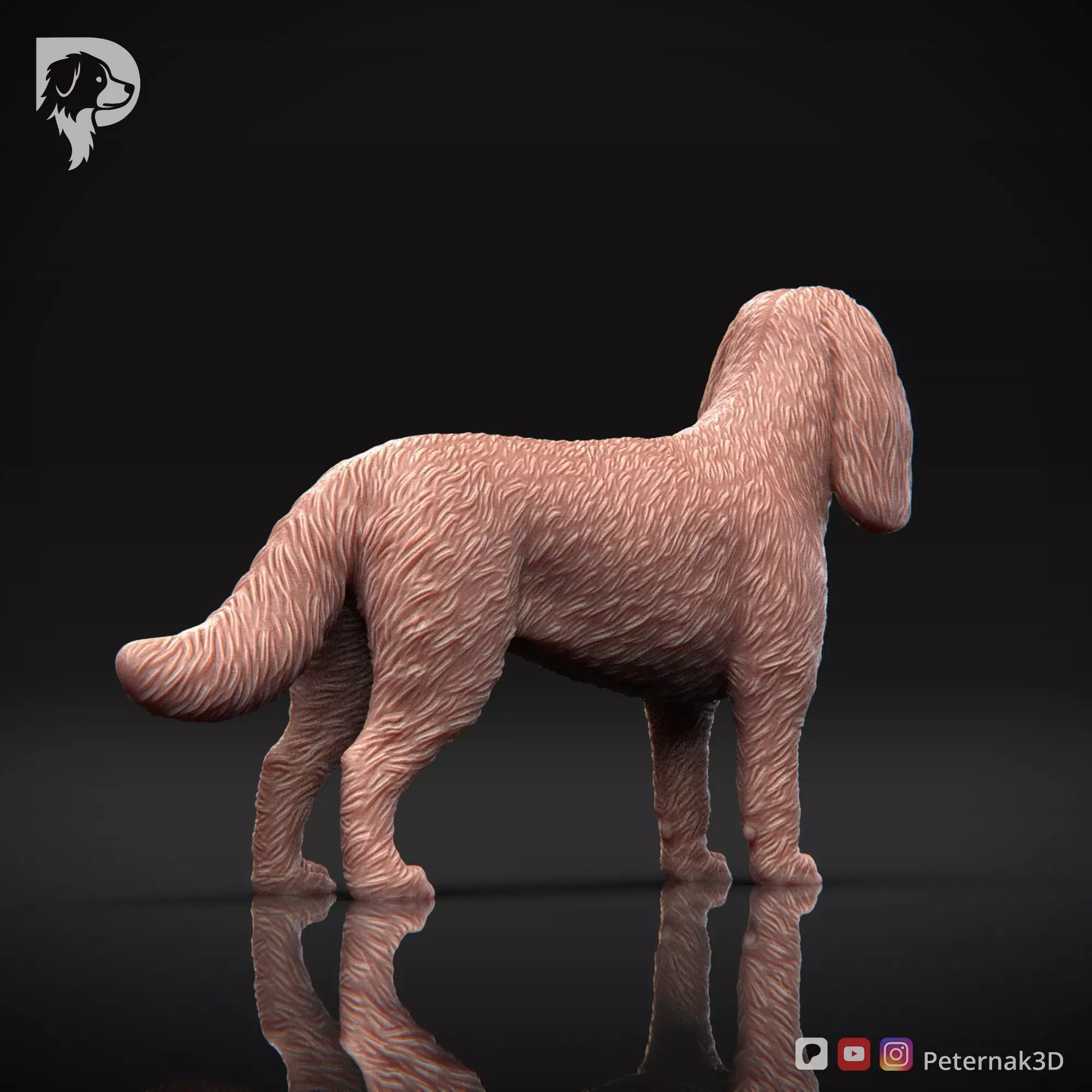 Dog 3D Print Model Cavalier King Charles Spaniel Pose 02 STL 3D print model_6