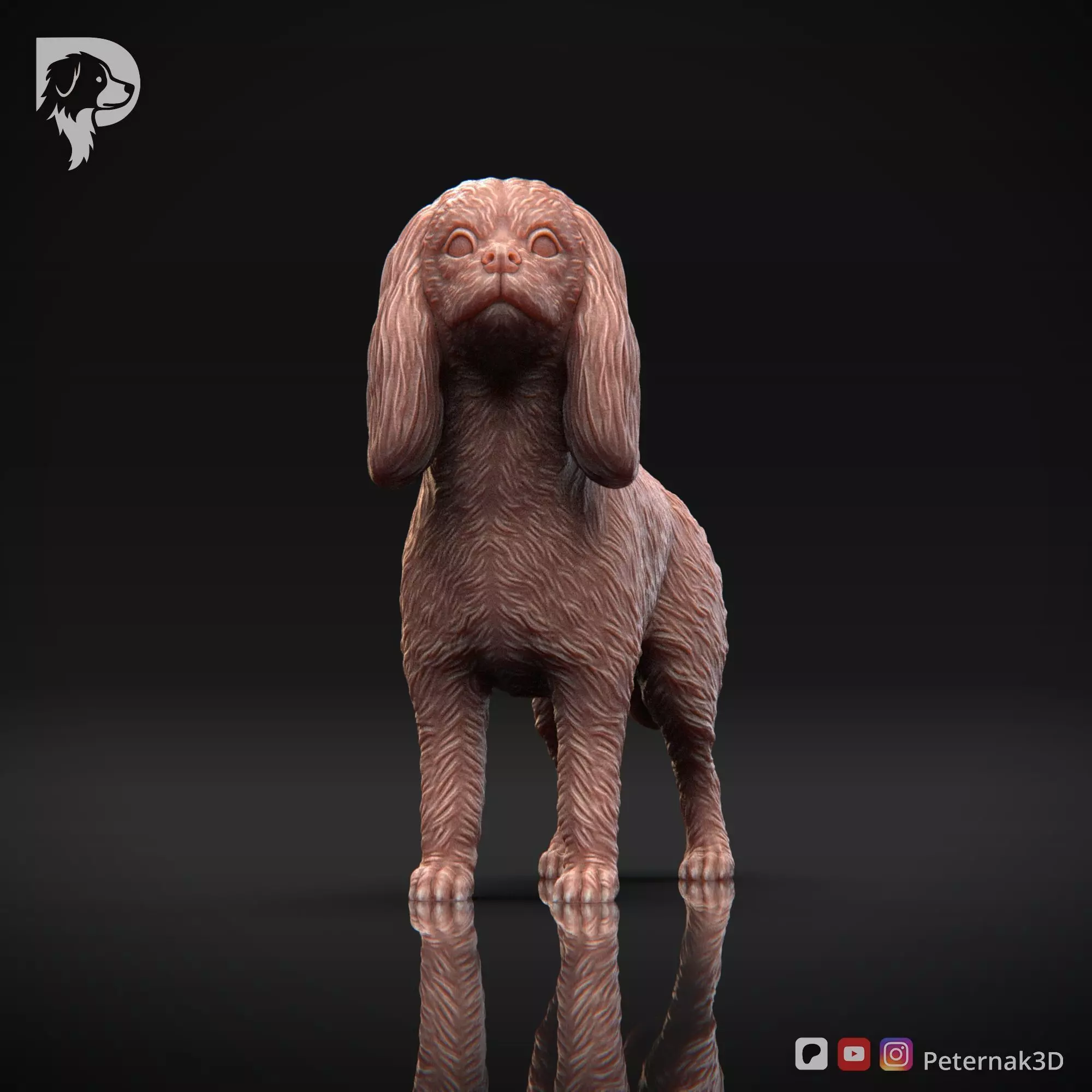 Dog 3D Print Model Cavalier King Charles Spaniel Pose 02 STL 3D print model_2