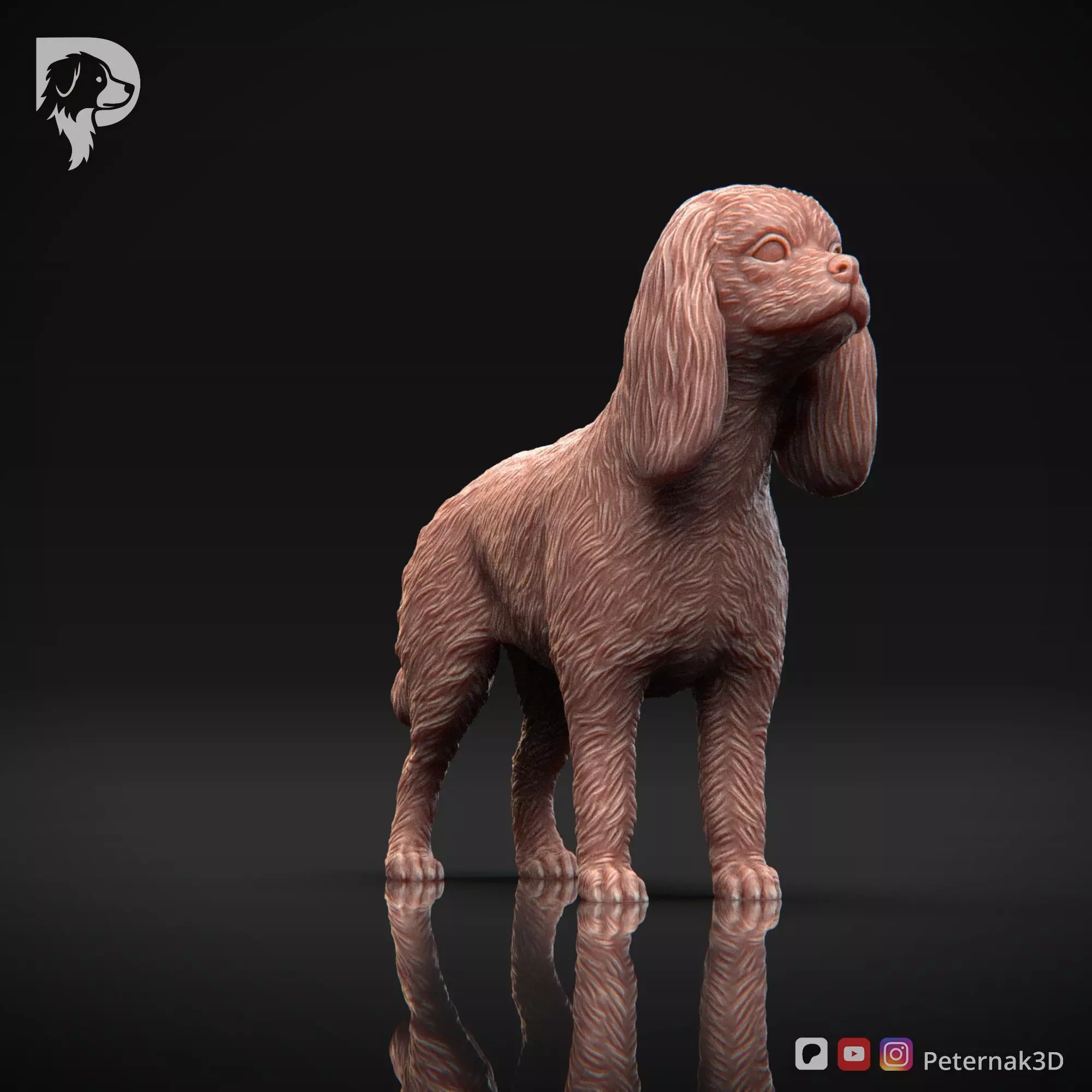 Dog 3D Print Model Cavalier King Charles Spaniel Pose 02 STL 3D print model_3