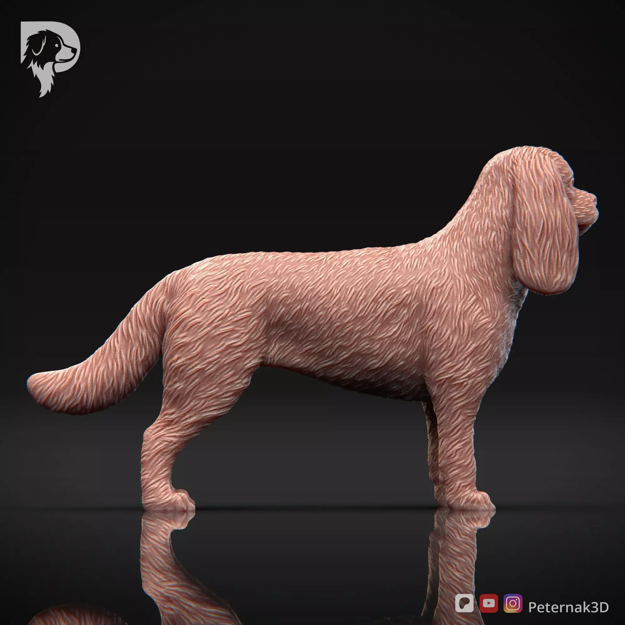 Dog 3D Print Model Cavalier King Charles Spaniel Pose 02 STL 3D print model_5