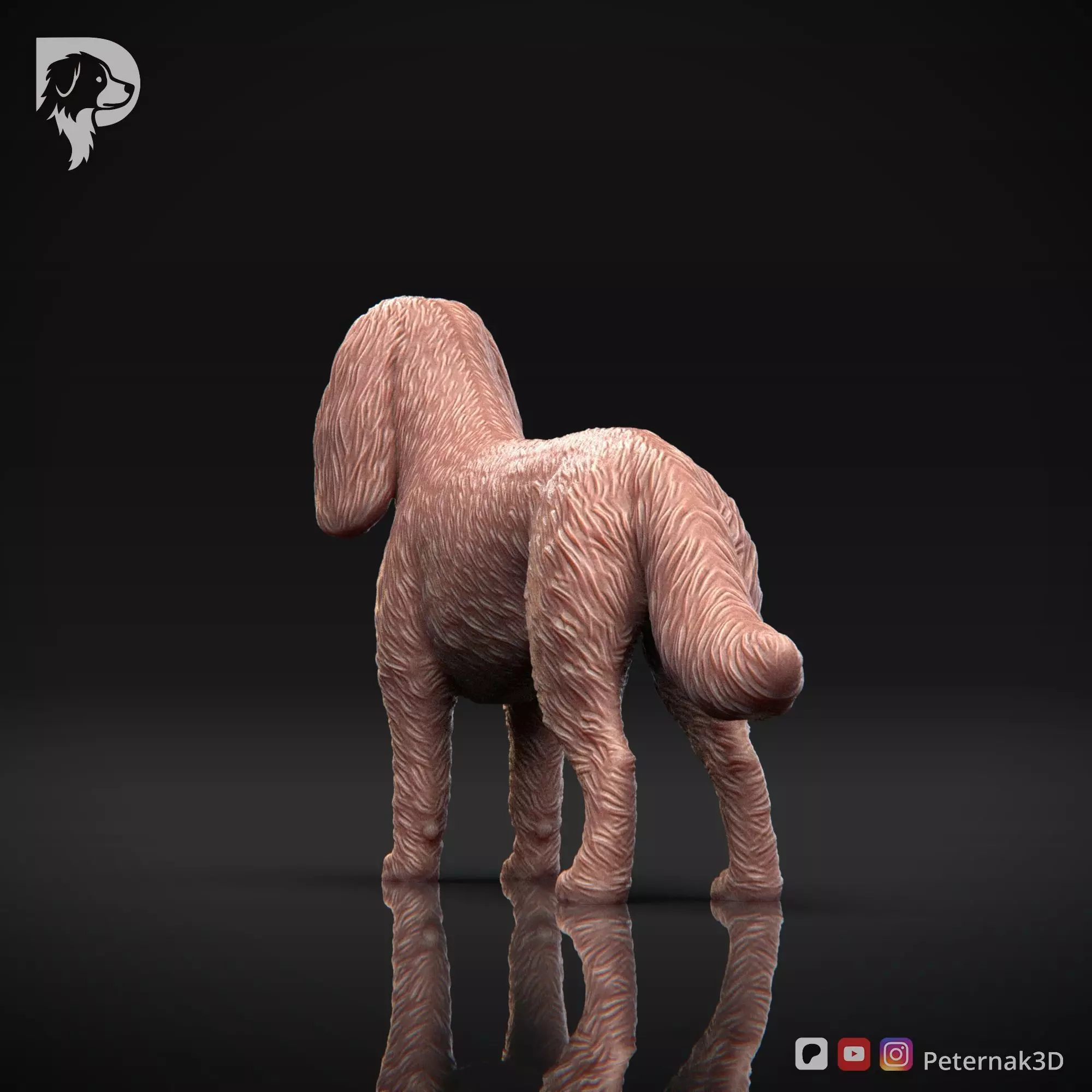 Dog 3D Print Model Cavalier King Charles Spaniel Pose 02 STL 3D print model_8