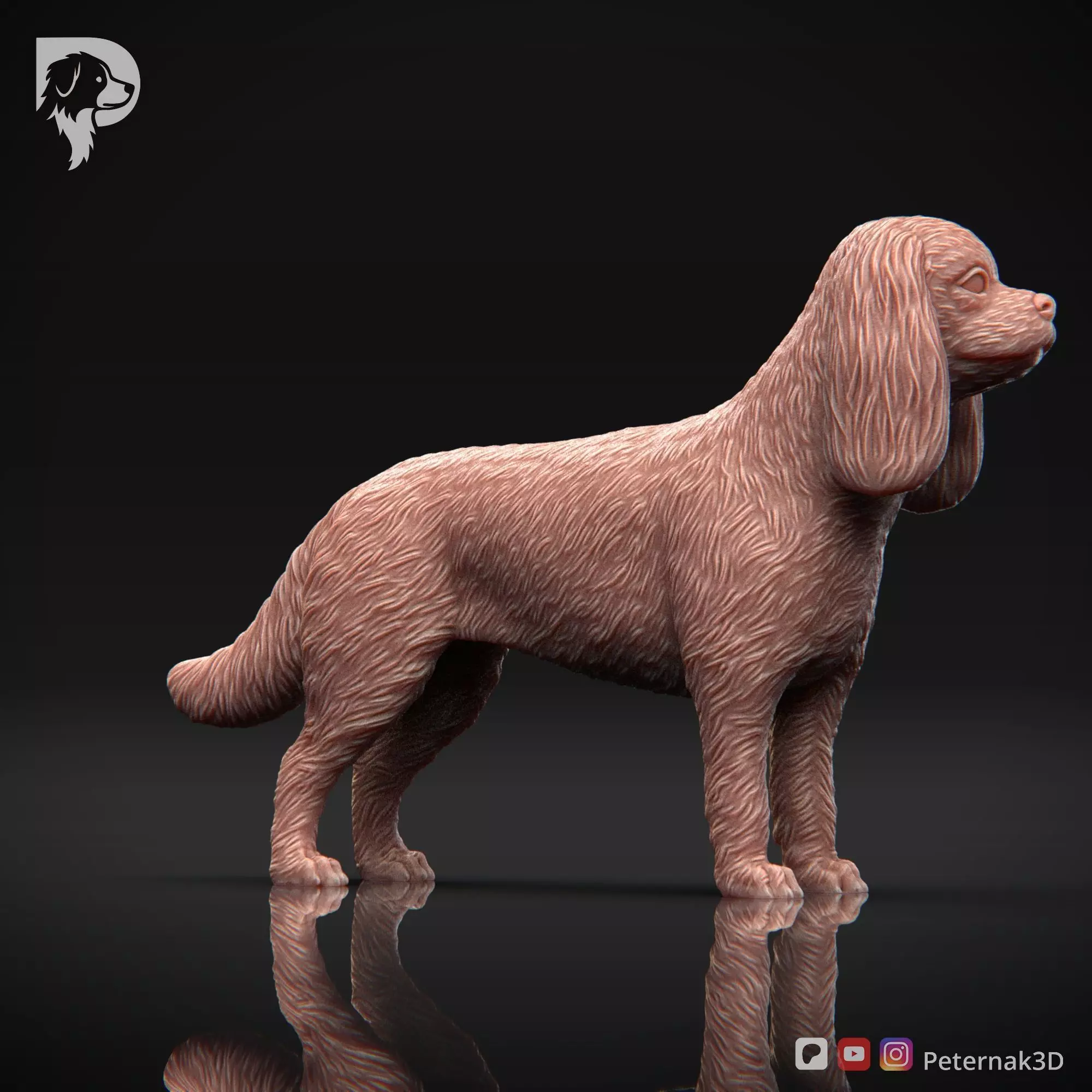 Dog 3D Print Model Cavalier King Charles Spaniel Pose 02 STL 3D print model_4