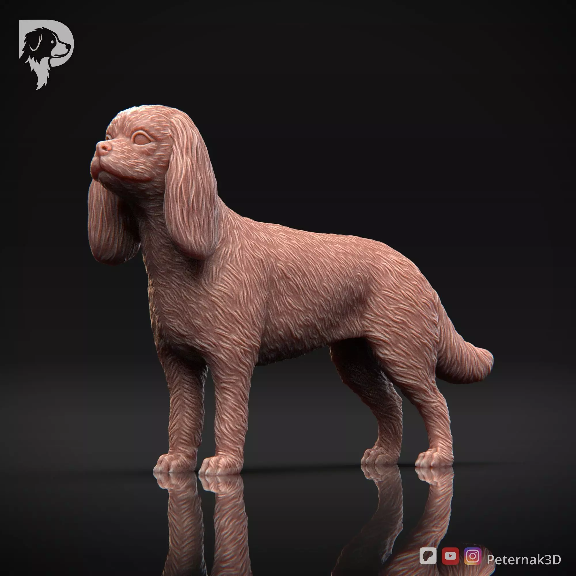 Dog 3D Print Model Cavalier King Charles Spaniel Pose 02 STL 3D print model_11