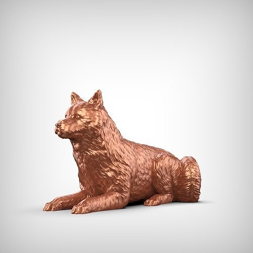 Canadian Eskimo Dog 3D Print Model Pose 07 3D print model