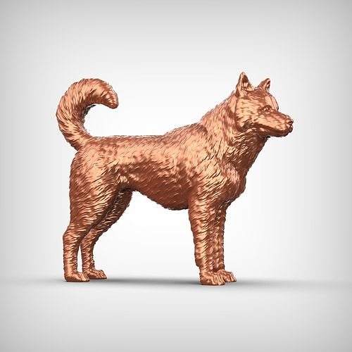 Canadian Eskimo Dog 3D Print Model Pose 03 3D print model
