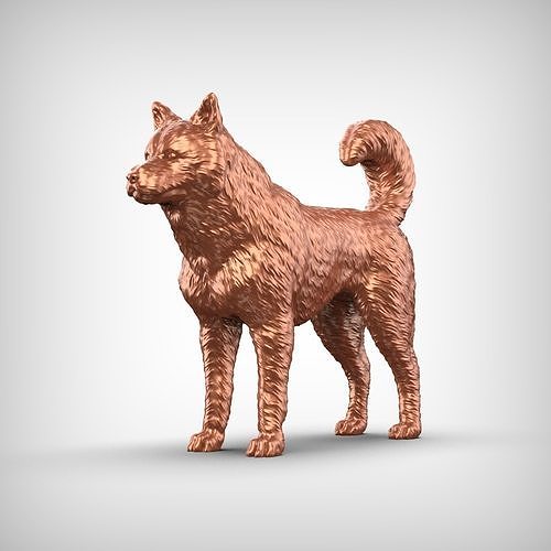 Canadian Eskimo Dog 3D Print Model Pose 01 3D print model