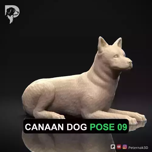 Dog 3D Print Model Canaan Dog Pose 09 Ready STL