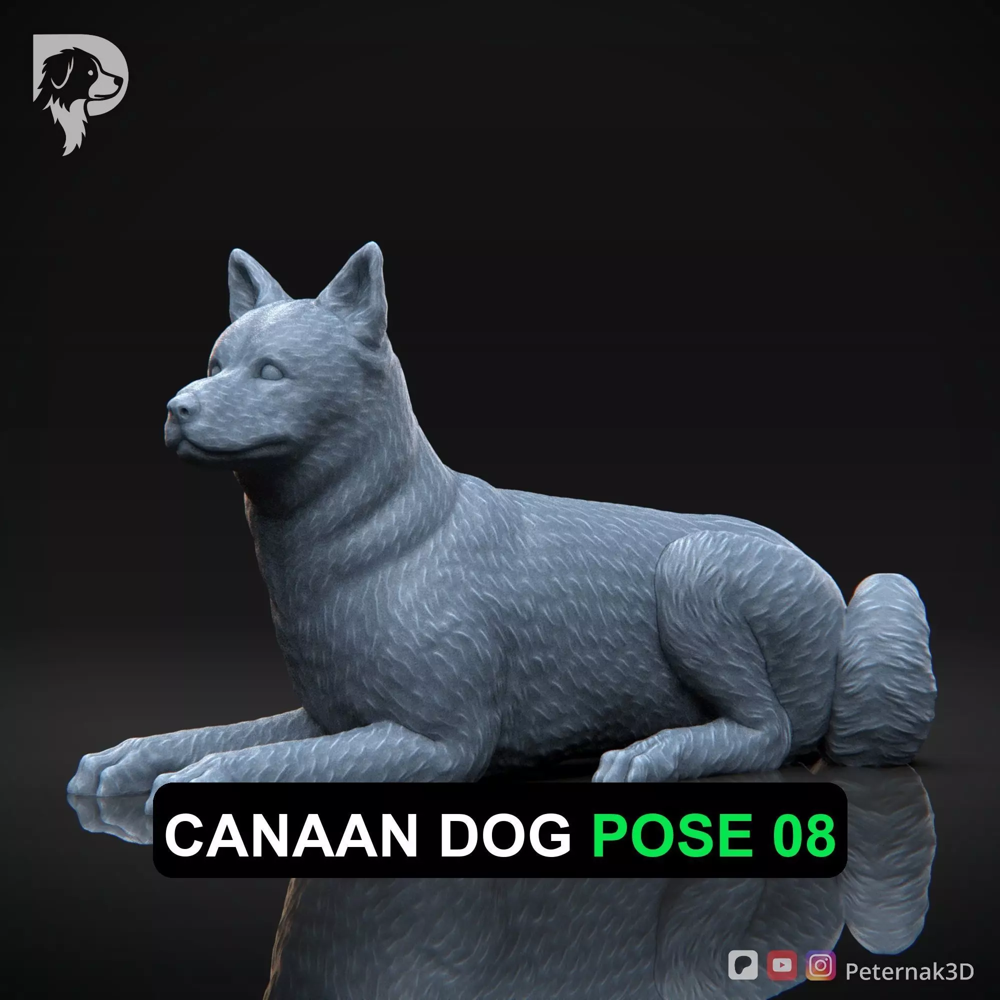 Dog 3D Print Model Canaan Dog Pose 08 Ready STL 3D print model
