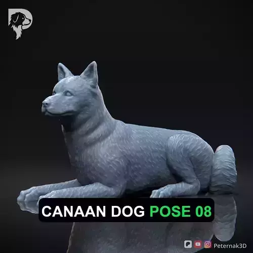 Dog 3D Print Model Canaan Dog Pose 08 Ready STL