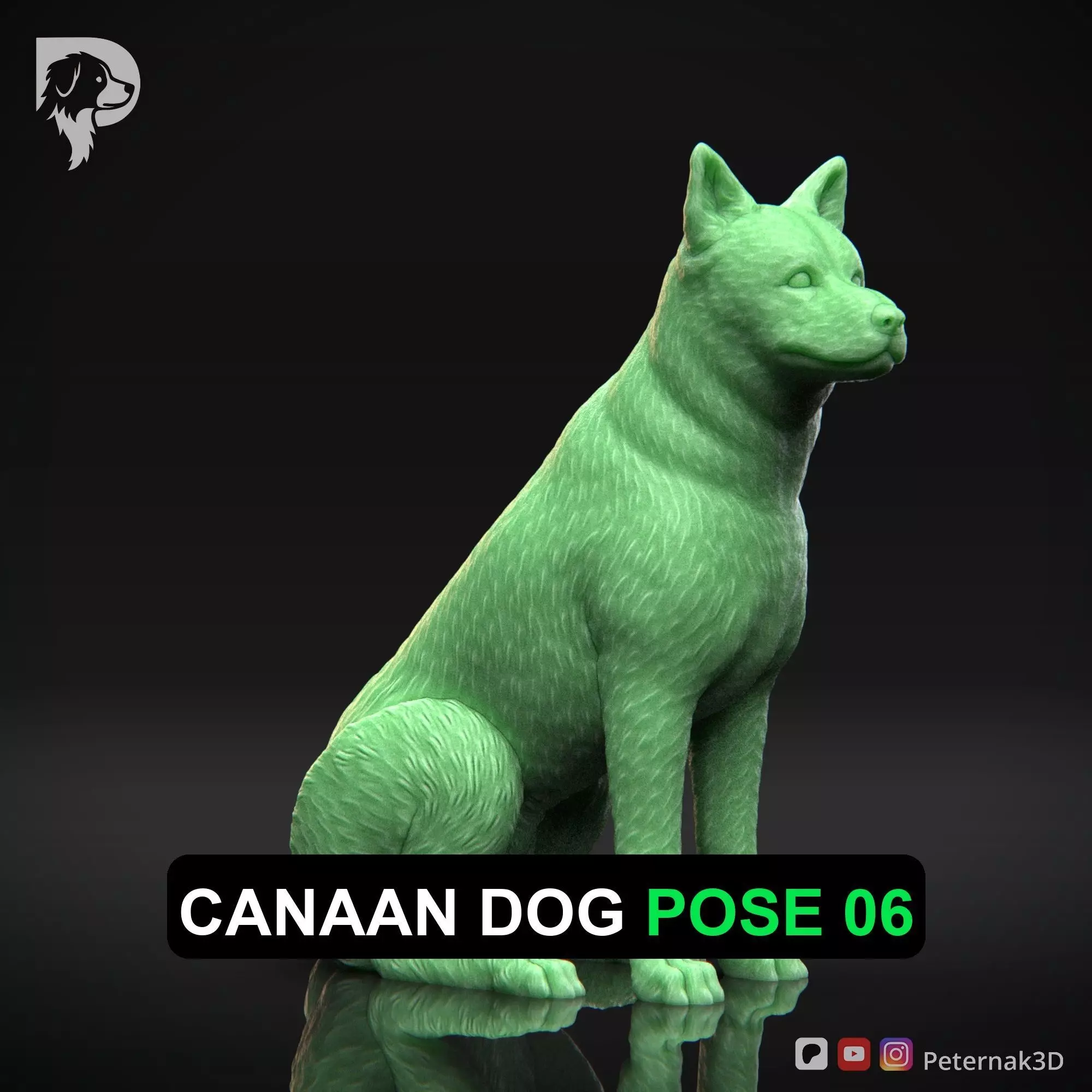Dog 3D Print Model Canaan Dog Pose 06 Ready STL 3D print model