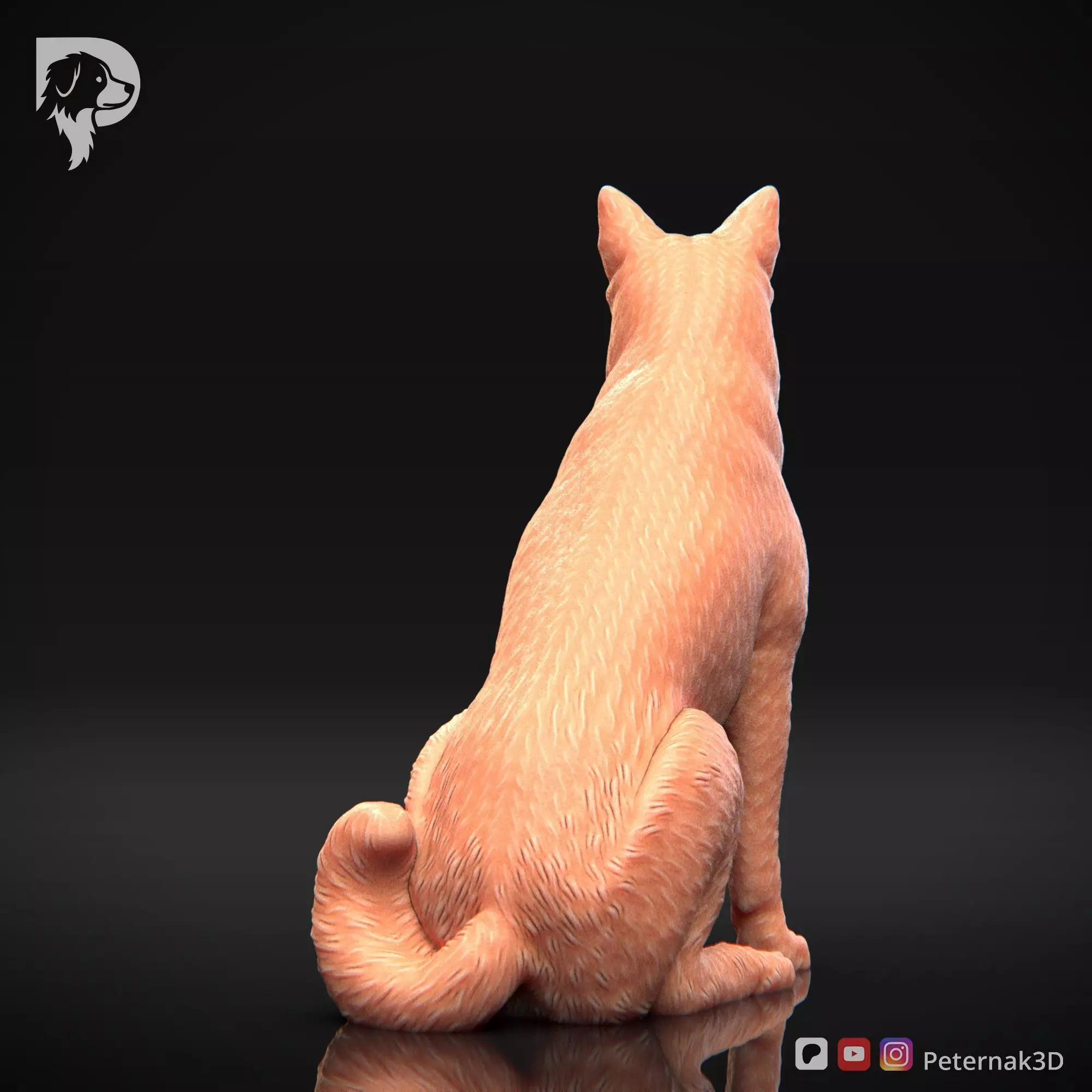 Dog 3D Print Model Canaan Dog Pose 05 Ready STL 3D print model_7