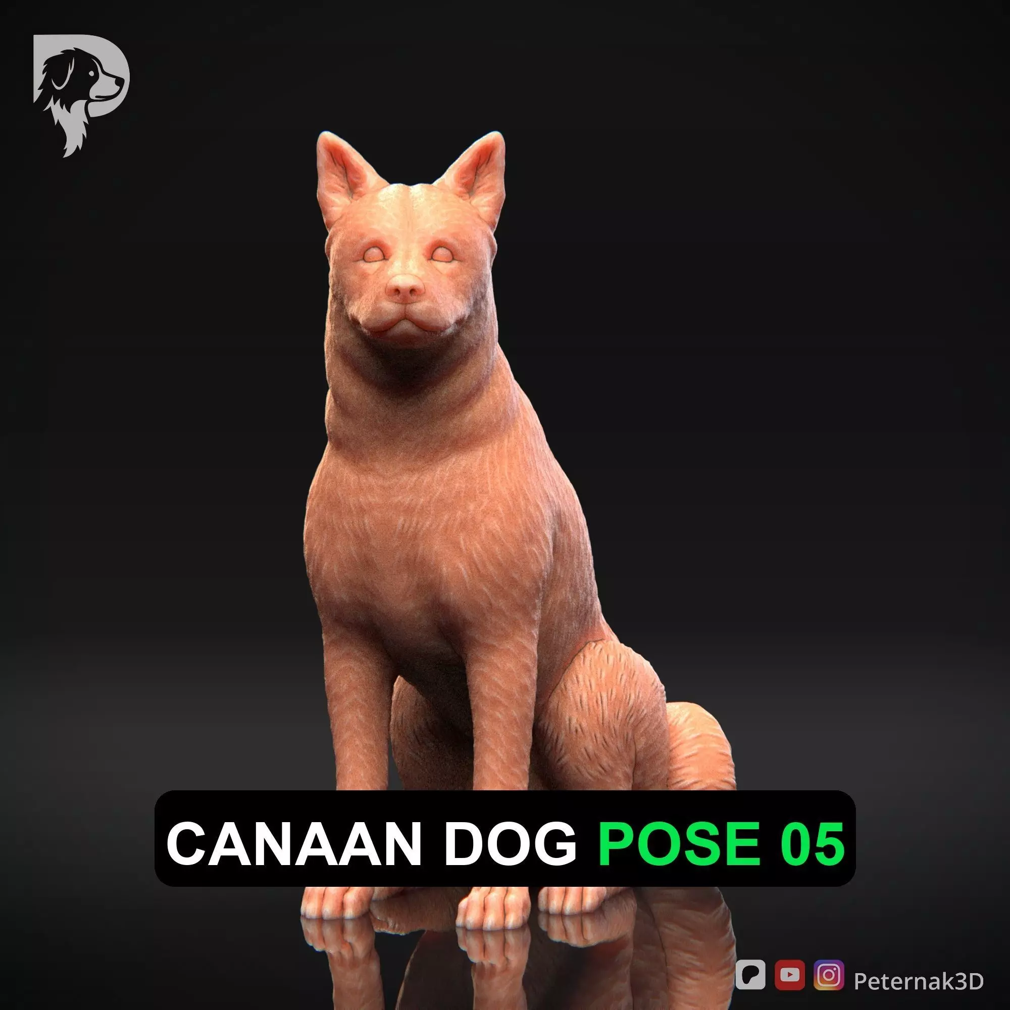 Dog 3D Print Model Canaan Dog Pose 05 Ready STL 3D print model_0