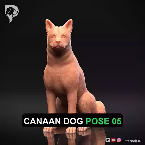 Dog 3D Print Model Canaan Dog Pose 05 Ready STL