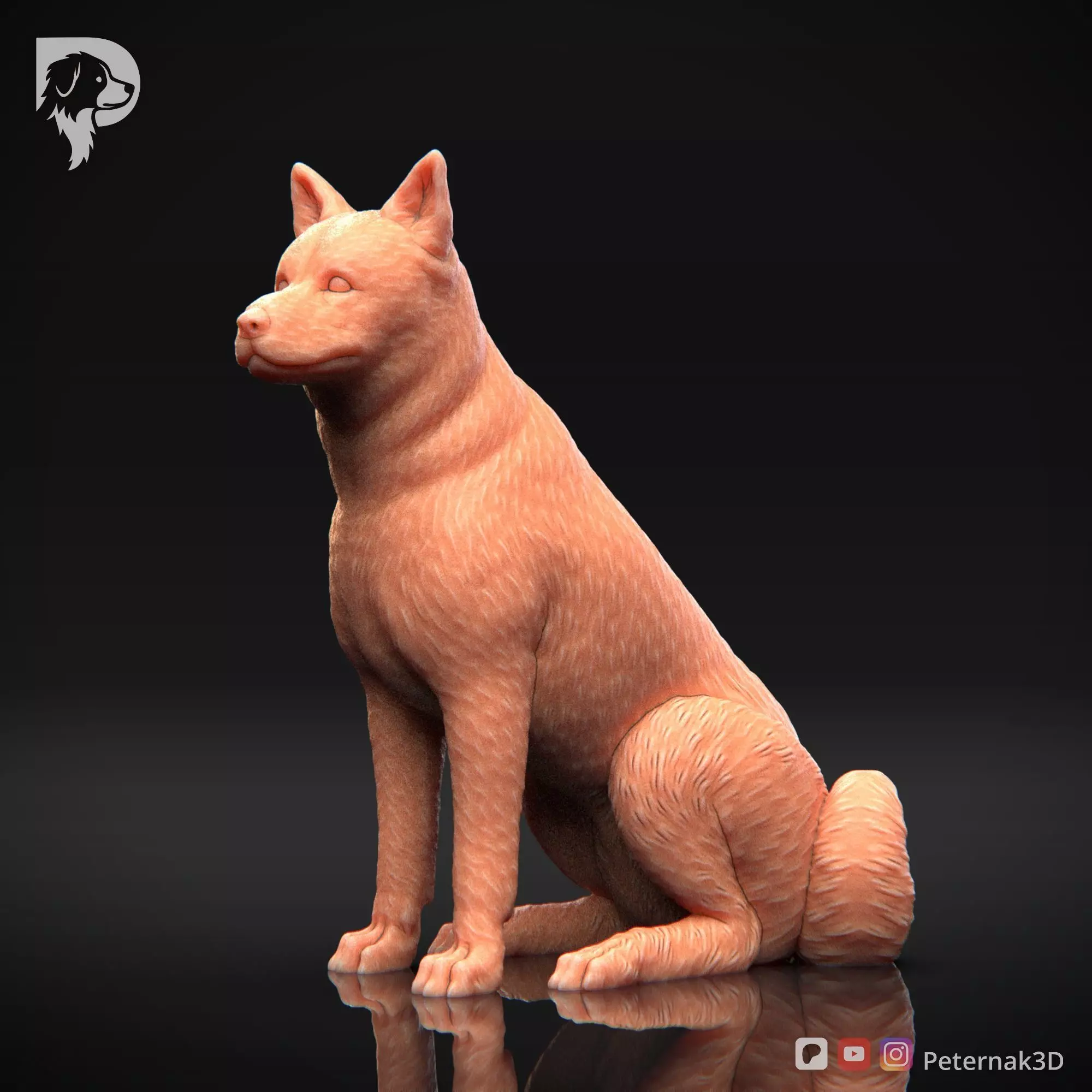 Dog 3D Print Model Canaan Dog Pose 05 Ready STL 3D print model_11