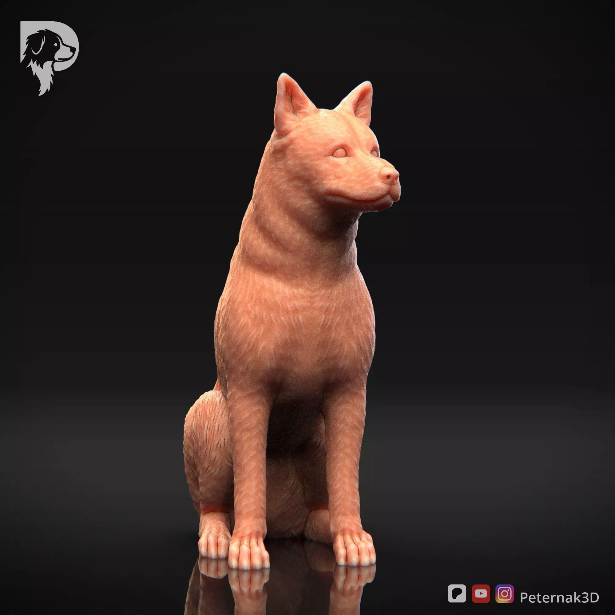 Dog 3D Print Model Canaan Dog Pose 05 Ready STL 3D print model_3