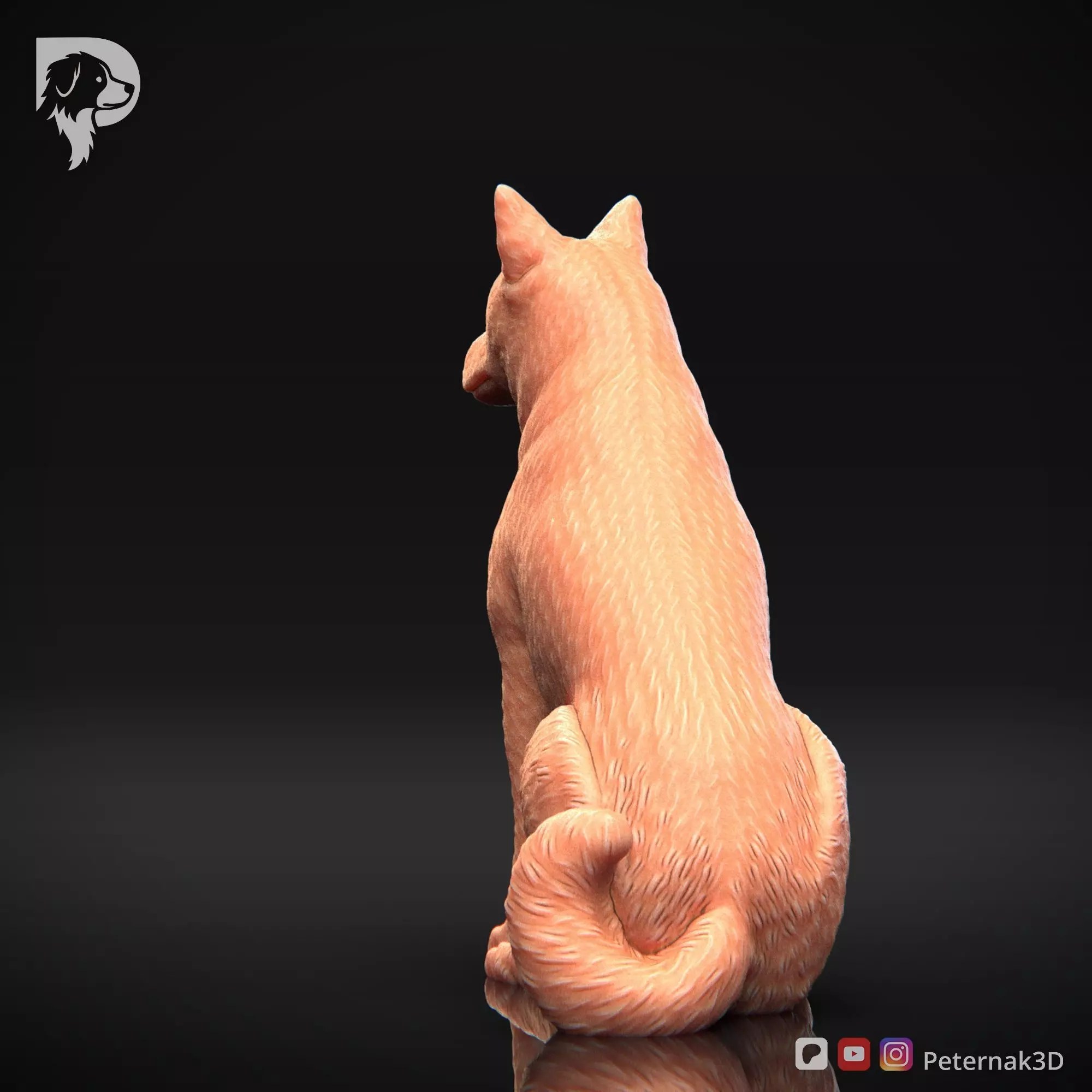 Dog 3D Print Model Canaan Dog Pose 05 Ready STL 3D print model_8