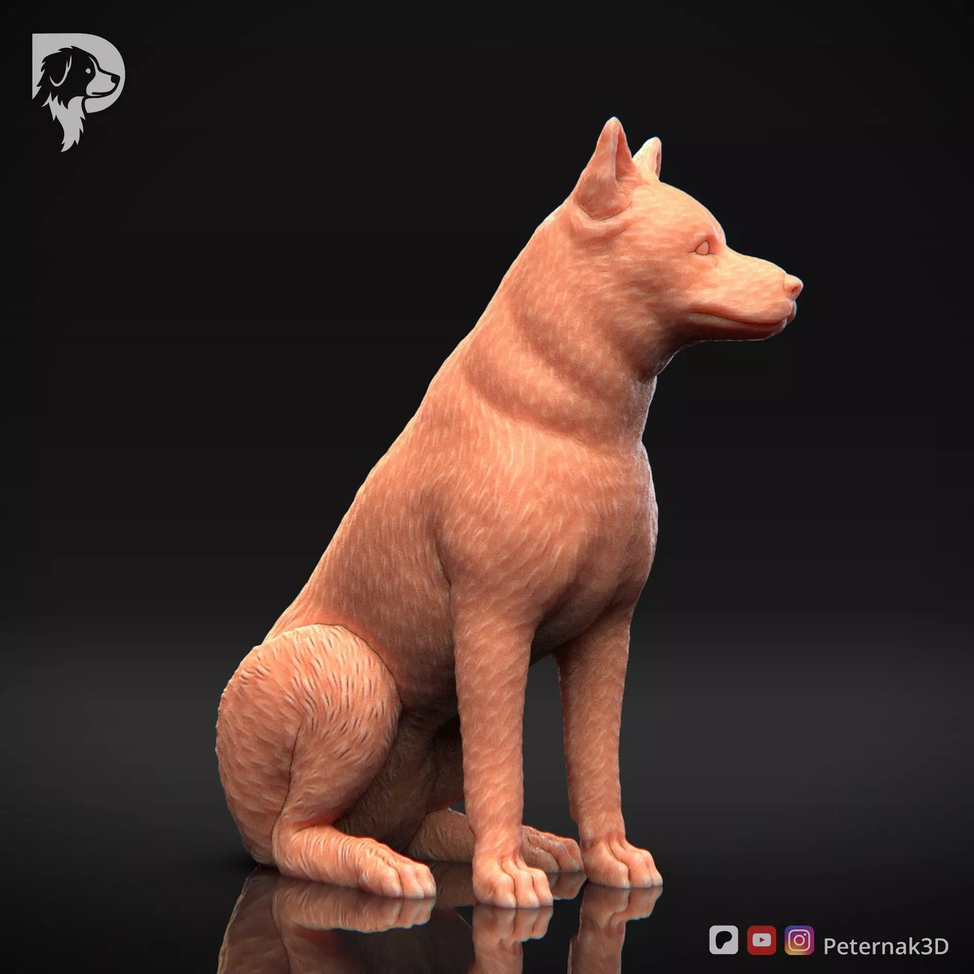 Dog 3D Print Model Canaan Dog Pose 05 Ready STL 3D print model_4