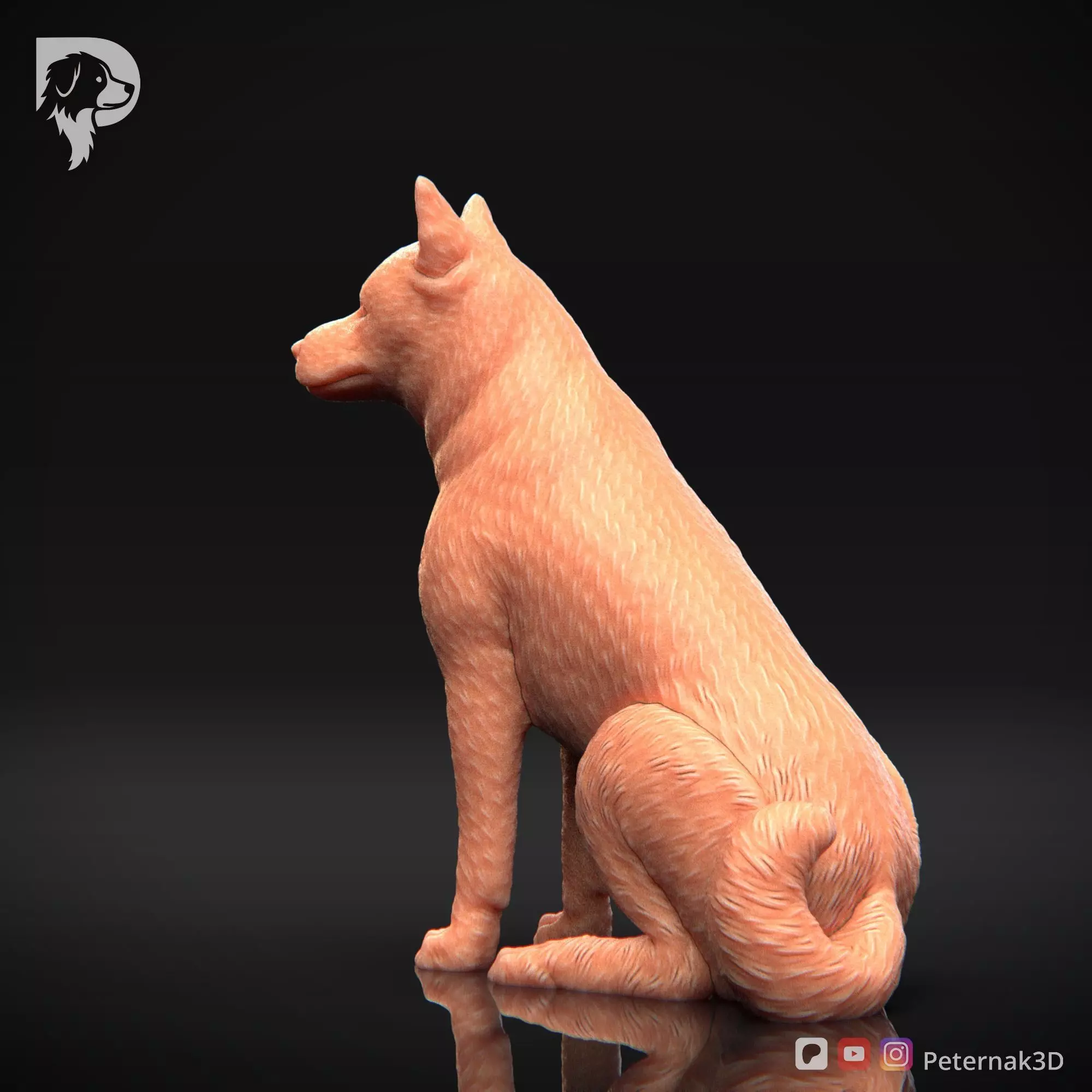 Dog 3D Print Model Canaan Dog Pose 05 Ready STL 3D print model_9